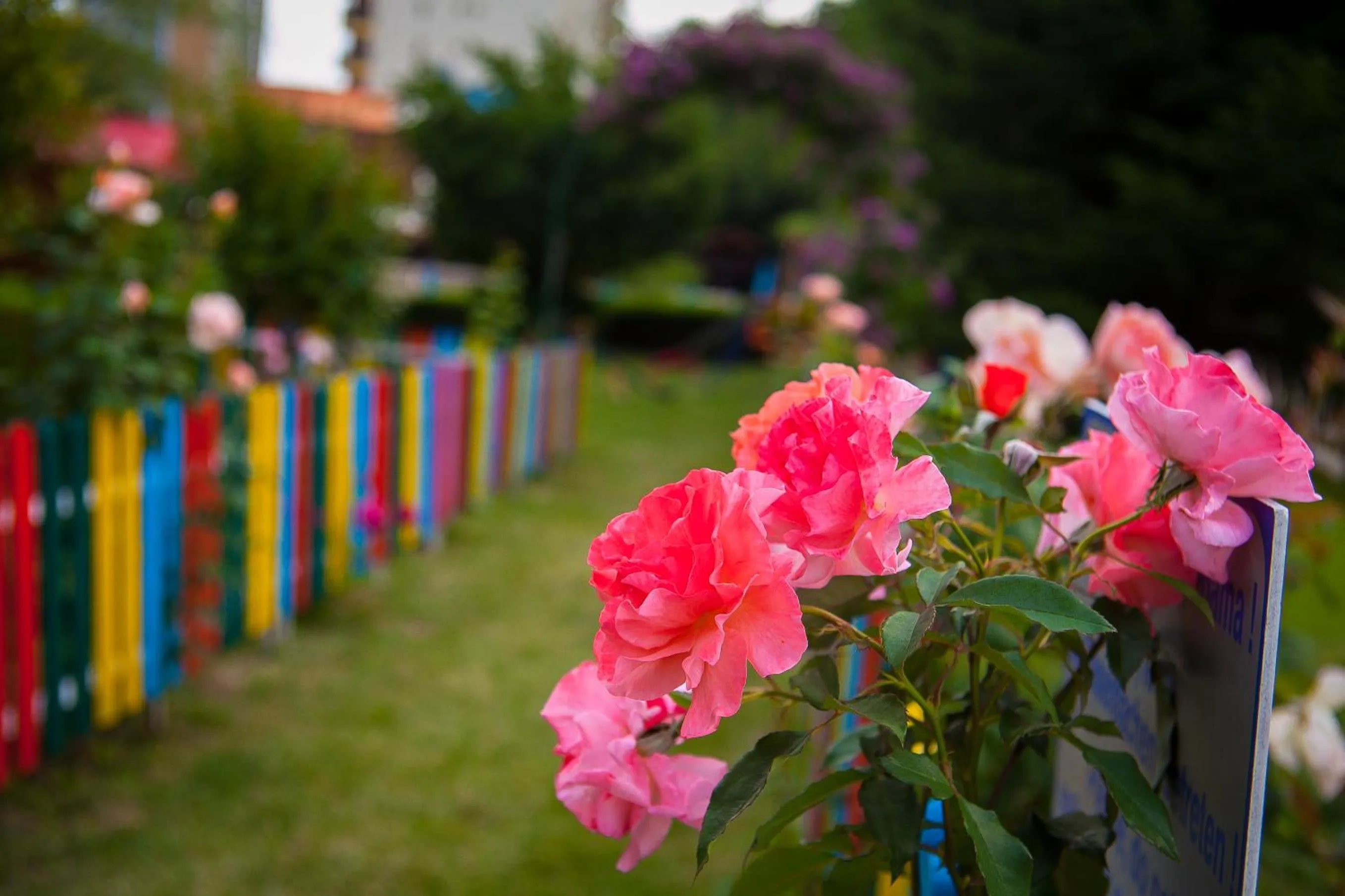 Children play ground in Park Hotel Perla
