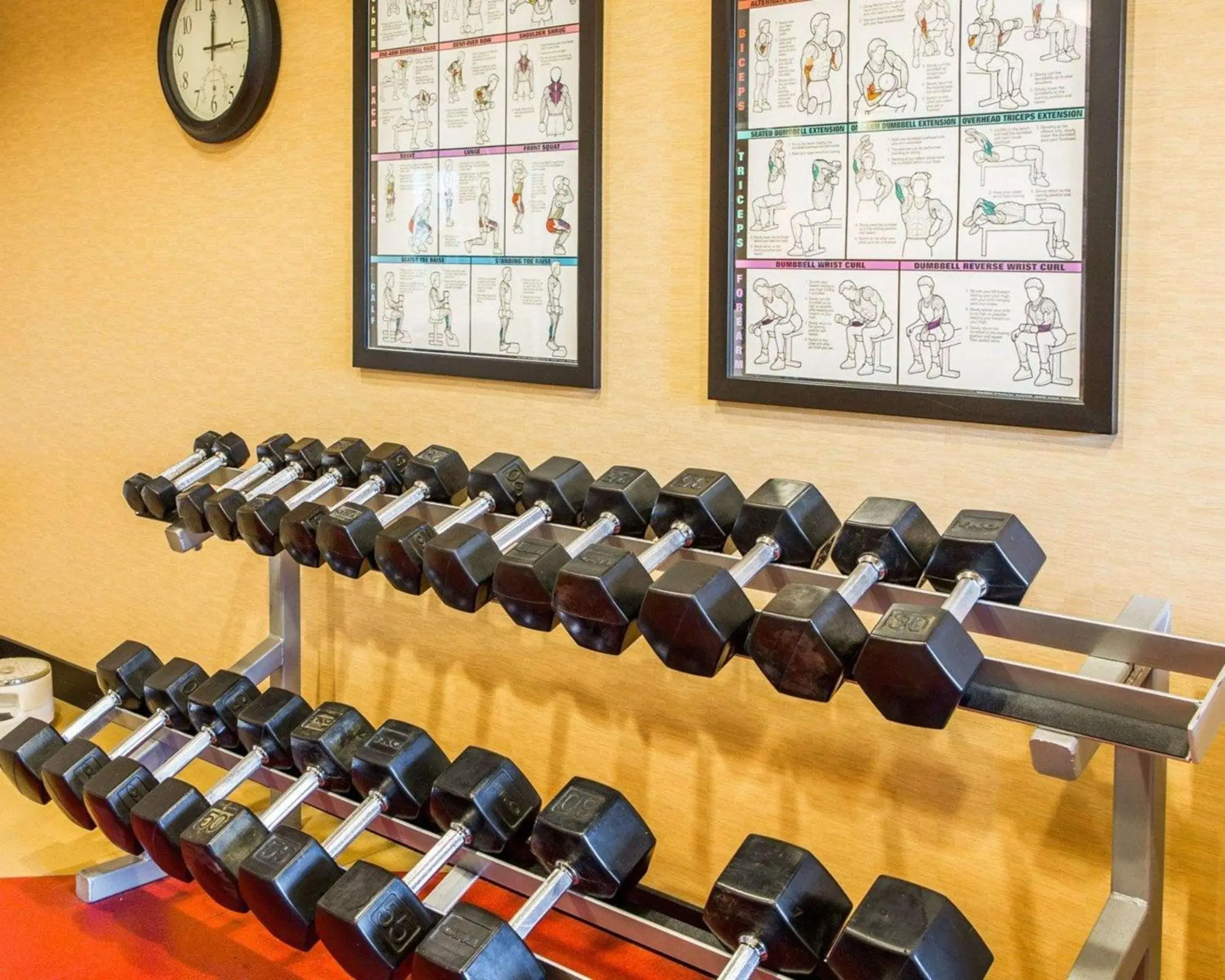 Fitness centre/facilities in Cambria Hotel Appleton Fitness centre/facilities in Cambria Hotel Appleton
