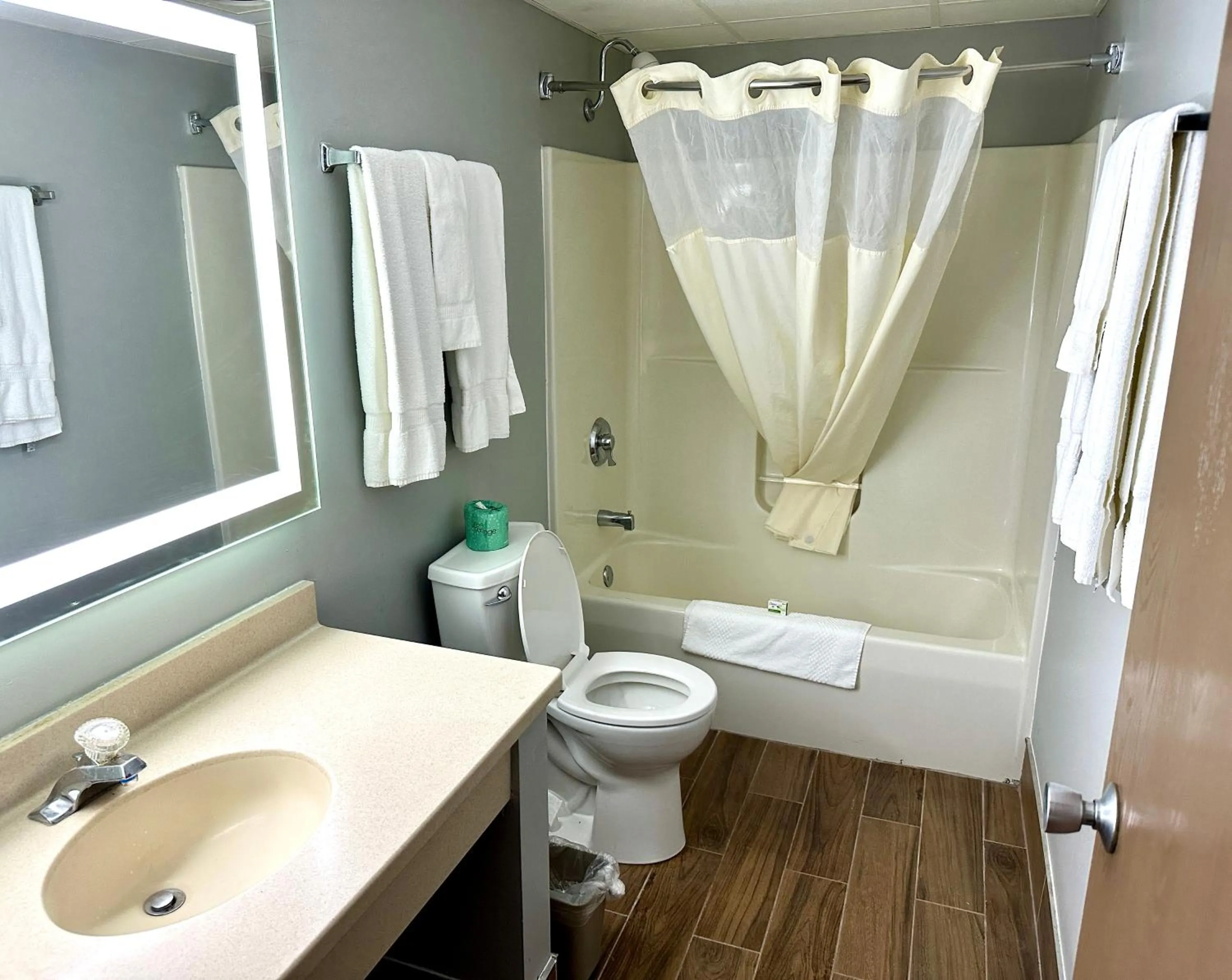 Shower in Clarion Hotel and Convention Center Baraboo