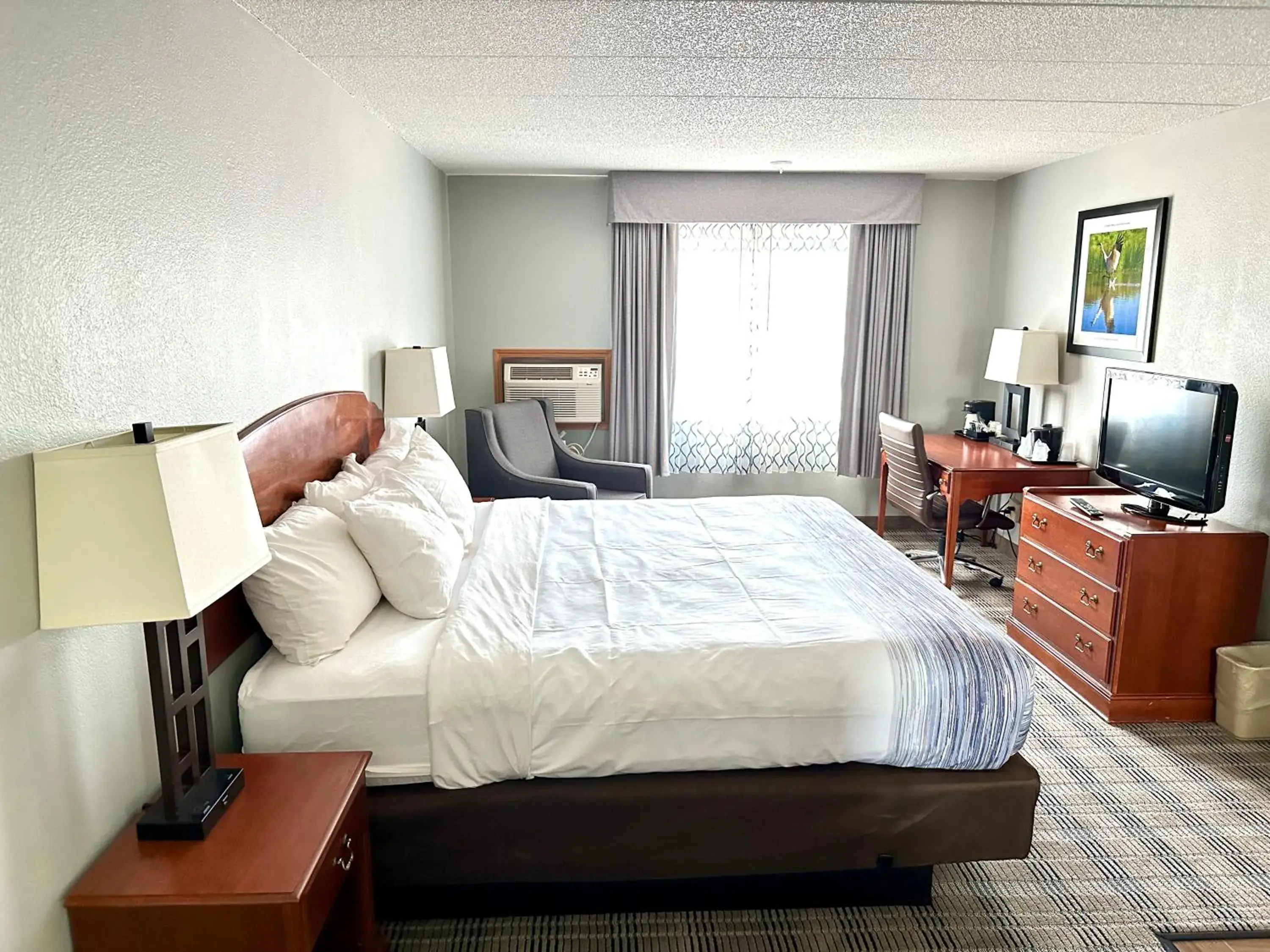 Bed in Clarion Hotel and Convention Center Baraboo Bed in Clarion Hotel and Convention Center Baraboo