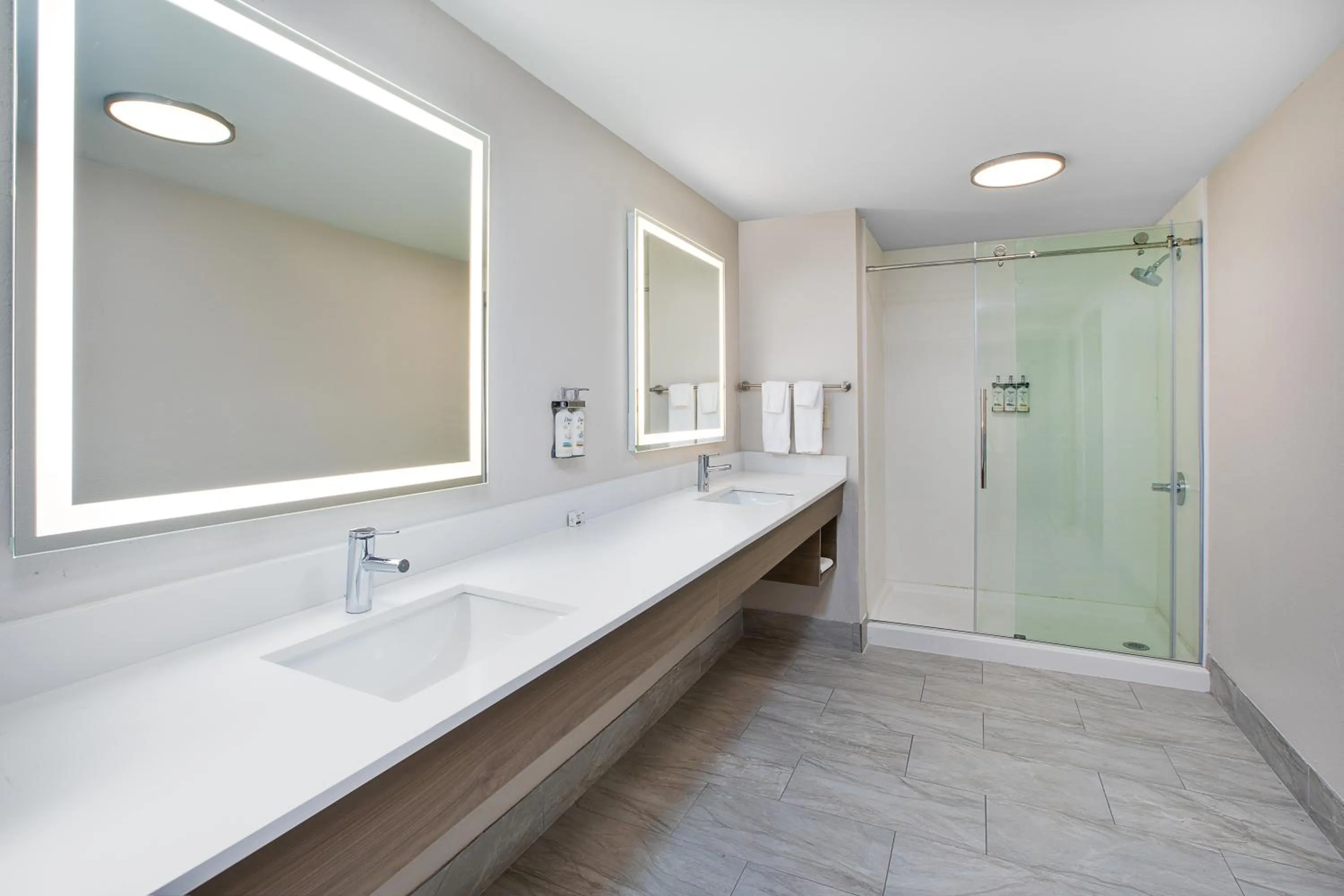 Bathroom in Holiday Inn Express & Suites Milwaukee NW - Park Place by IHG