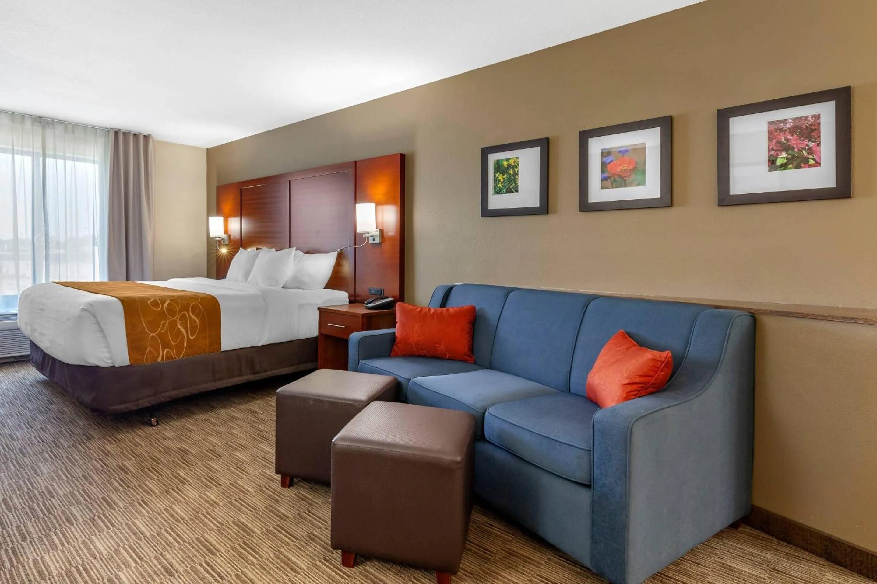 Bedroom, Bed in Comfort Suites Oshkosh West