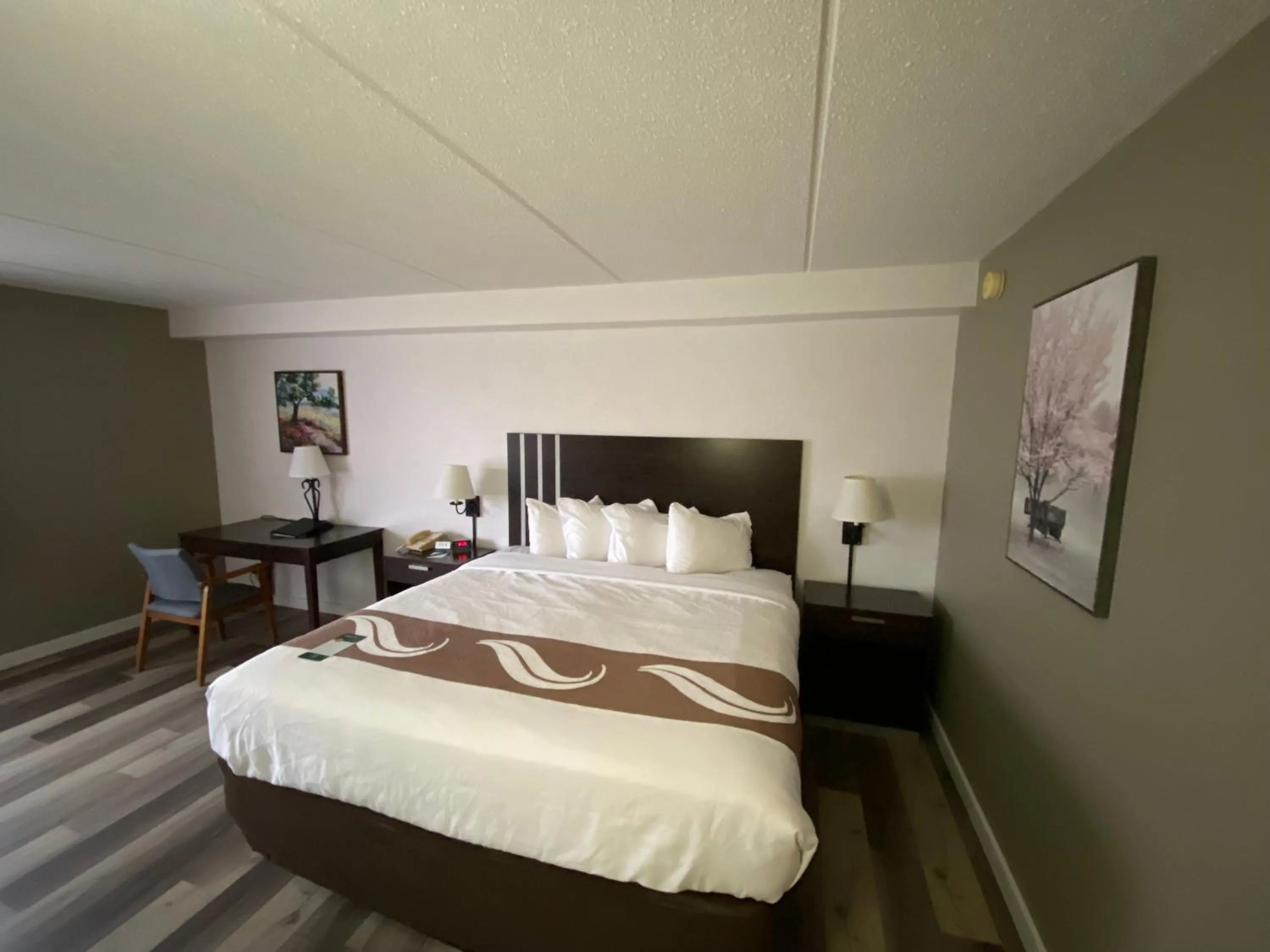 Bed in Quality Inn Rhinelander