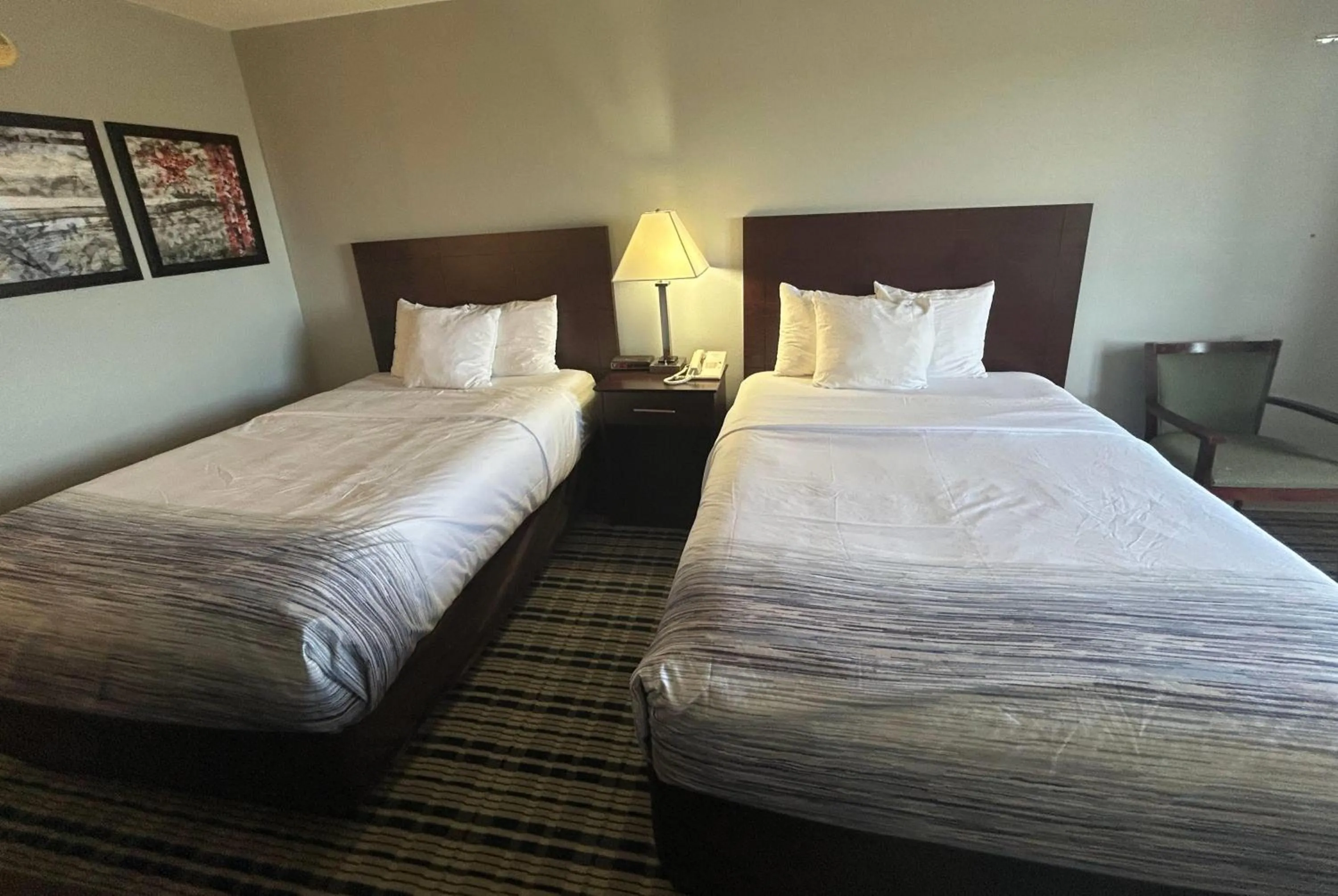 Photo of the whole room, Bed in AmericInn by Wyndham Mosinee Central Wisconsin Airport
