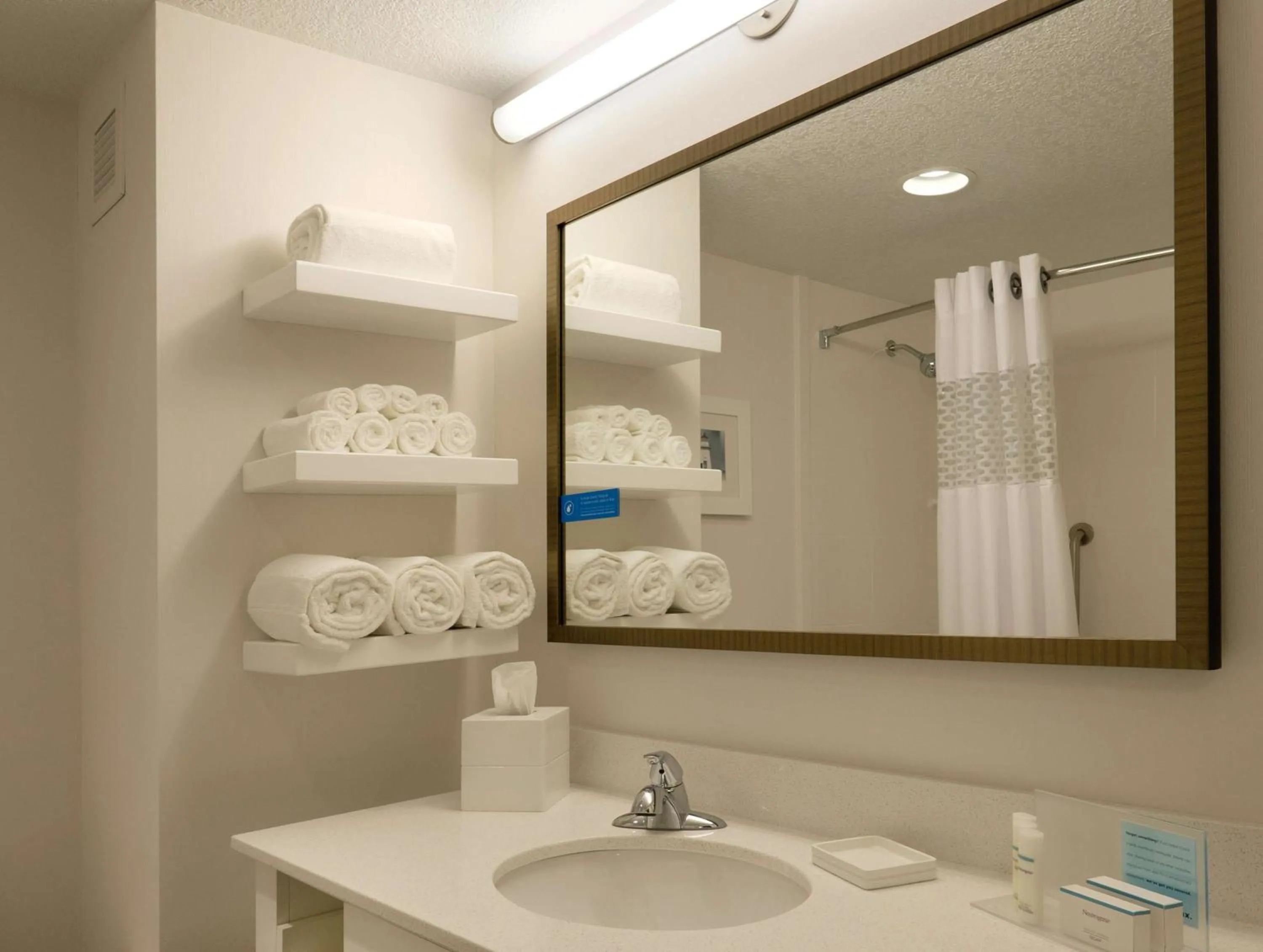 Bathroom in Hampton Inn Green Bay Downtown