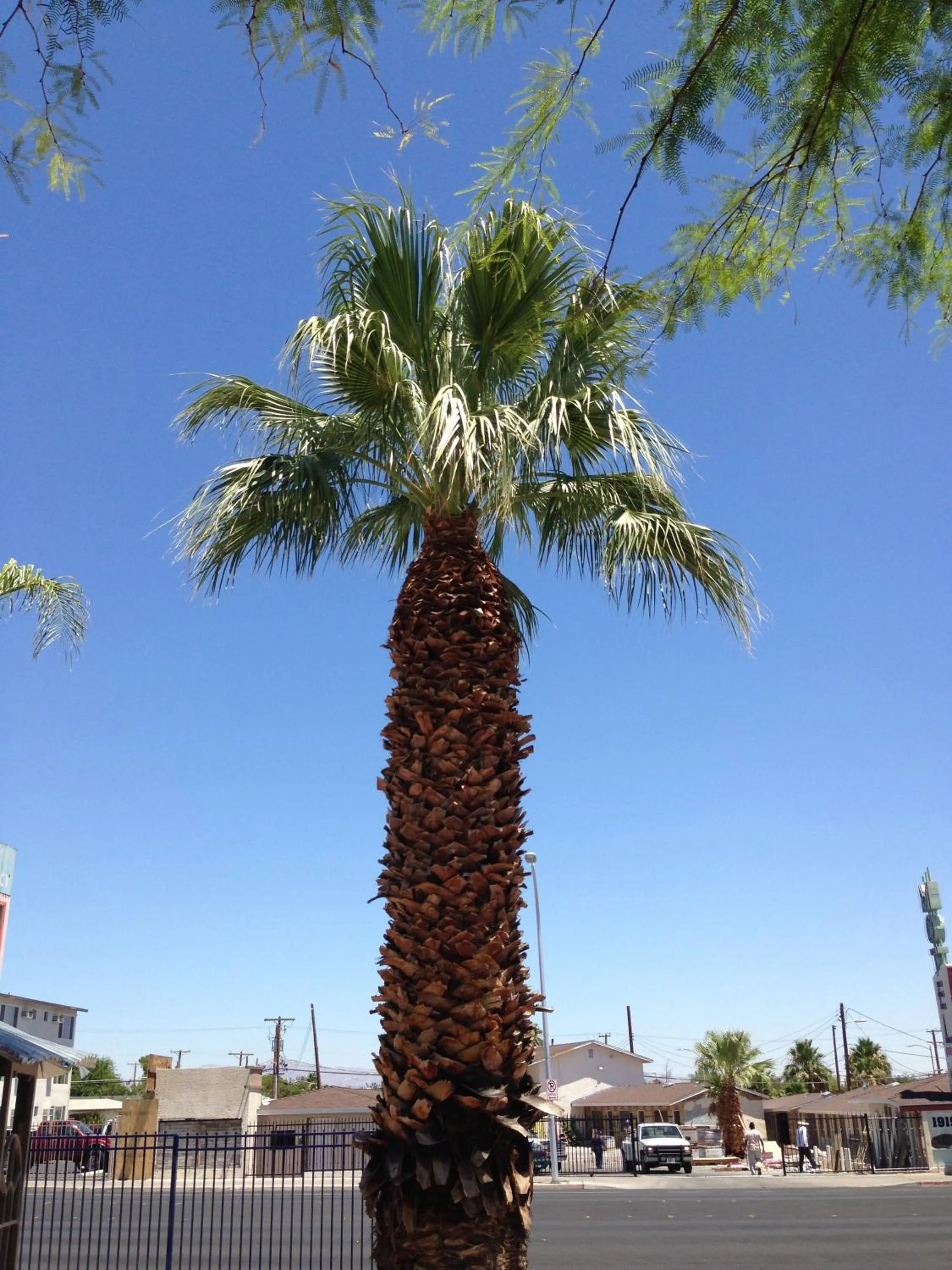 Facade/entrance in Sterling Gardens