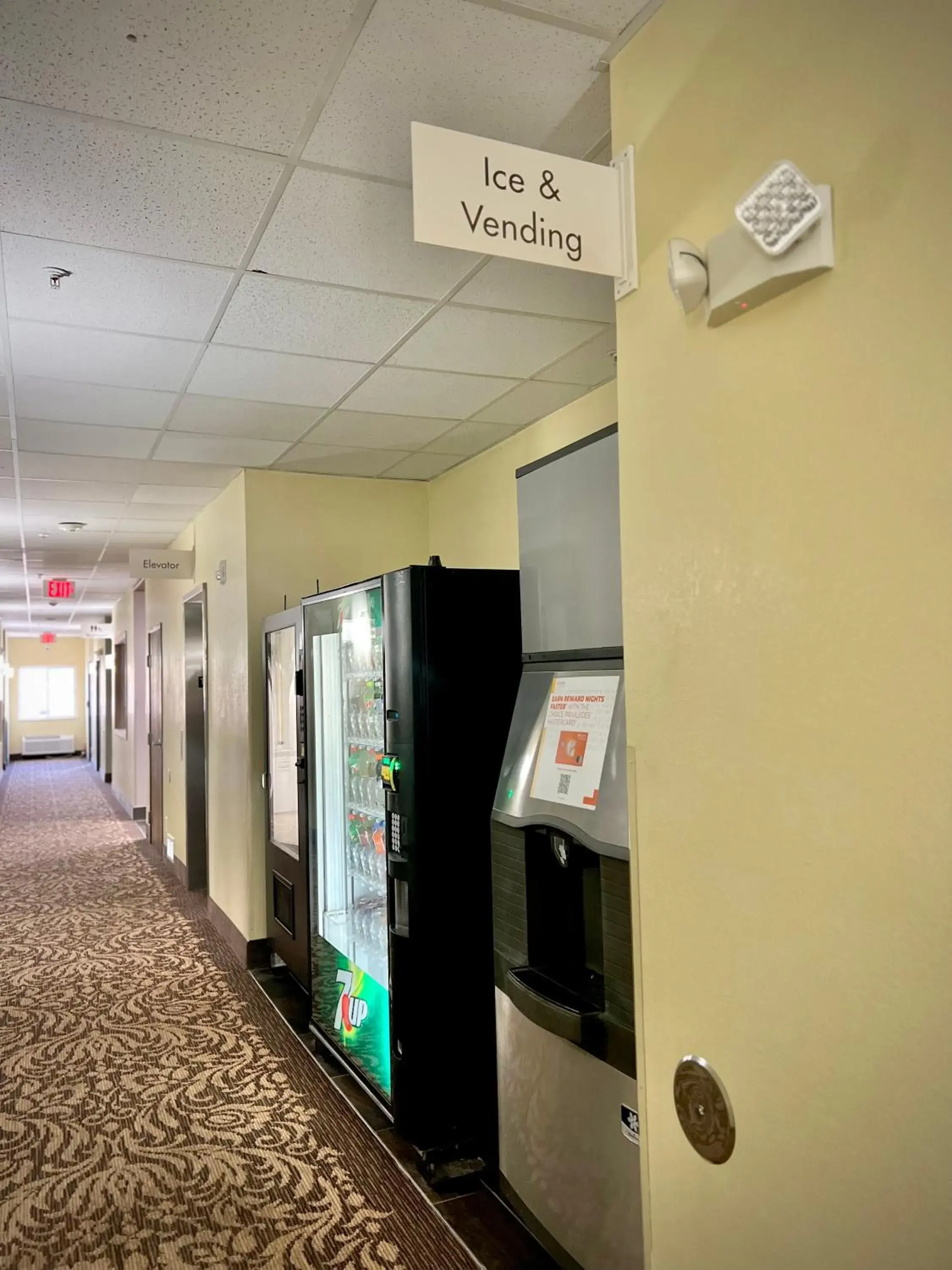 Lobby or reception in Quality Inn & Suites Wisconsin Dells Downtown - Waterparks Area Newly renovated 2026 Lobby or reception in Quality Inn & Suites Wisconsin Dells Downtown - Waterparks Area Newly renovated 2026