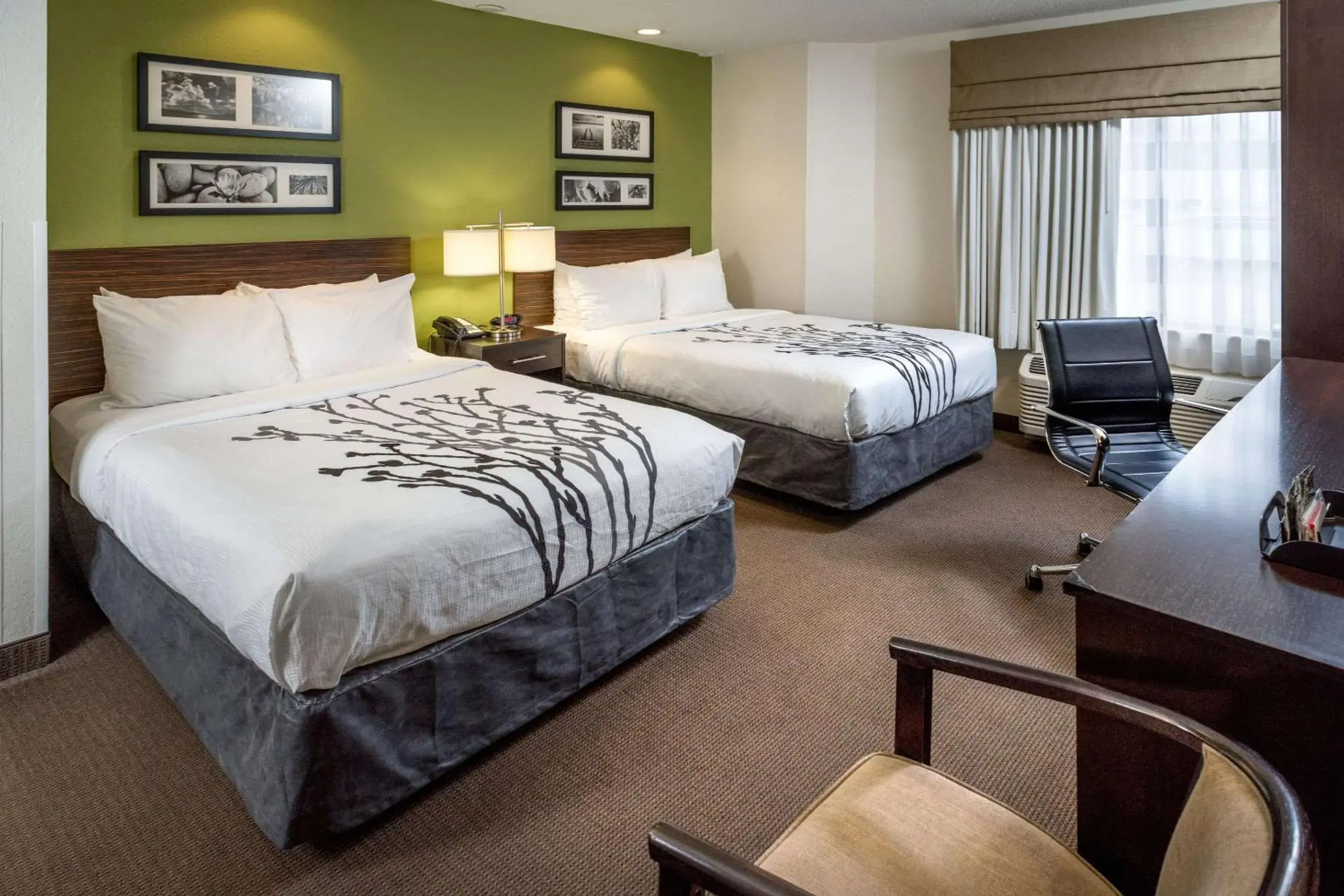 Double Room with Two Double Beds - Non-Smoking in Sleep Inn & Suites Cross Lanes - South Charleston Double Room with Two Double Beds - Non-Smoking in Sleep Inn & Suites Cross Lanes - South Charleston