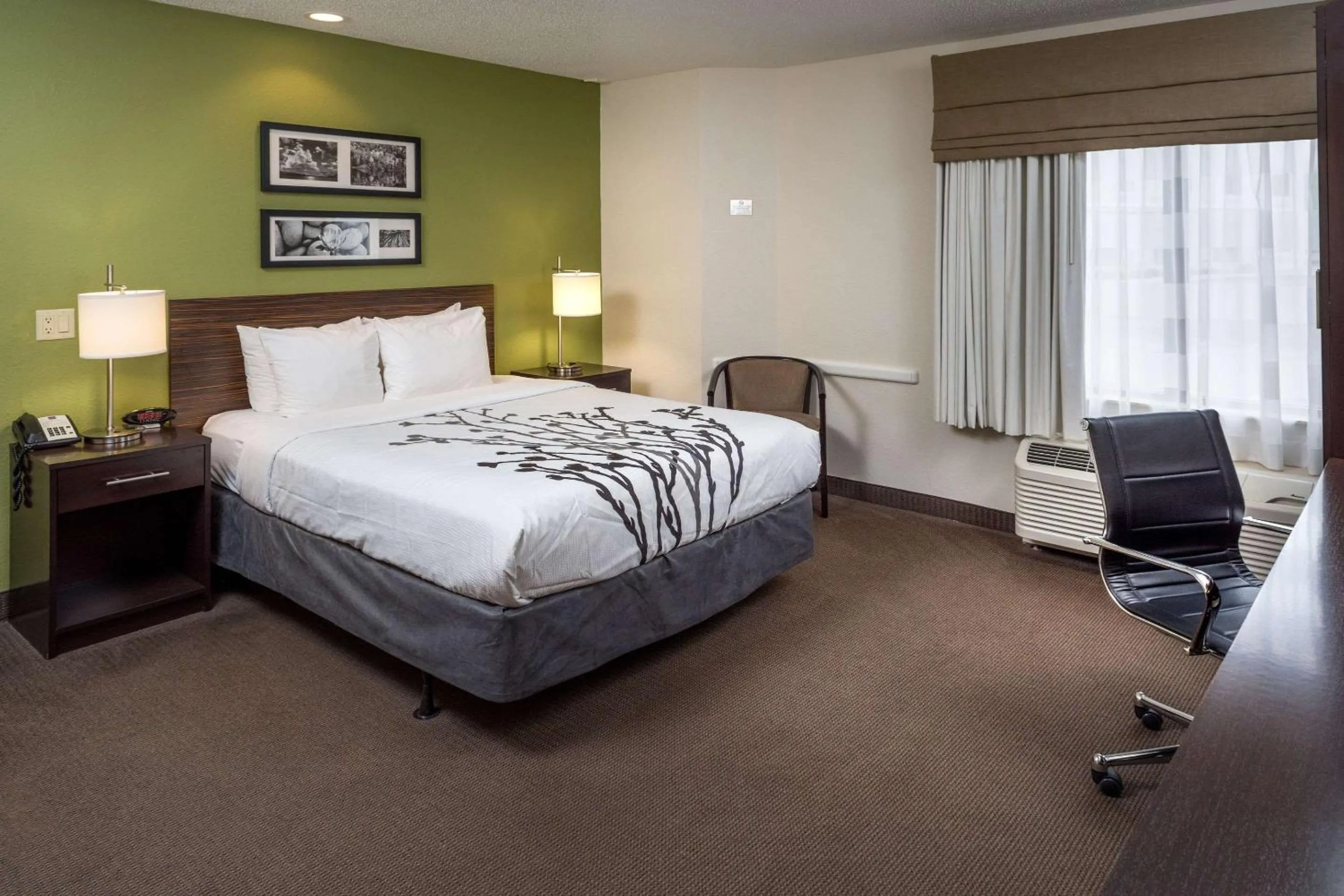 Photo of the whole room, Bed in Sleep Inn & Suites Cross Lanes - South Charleston