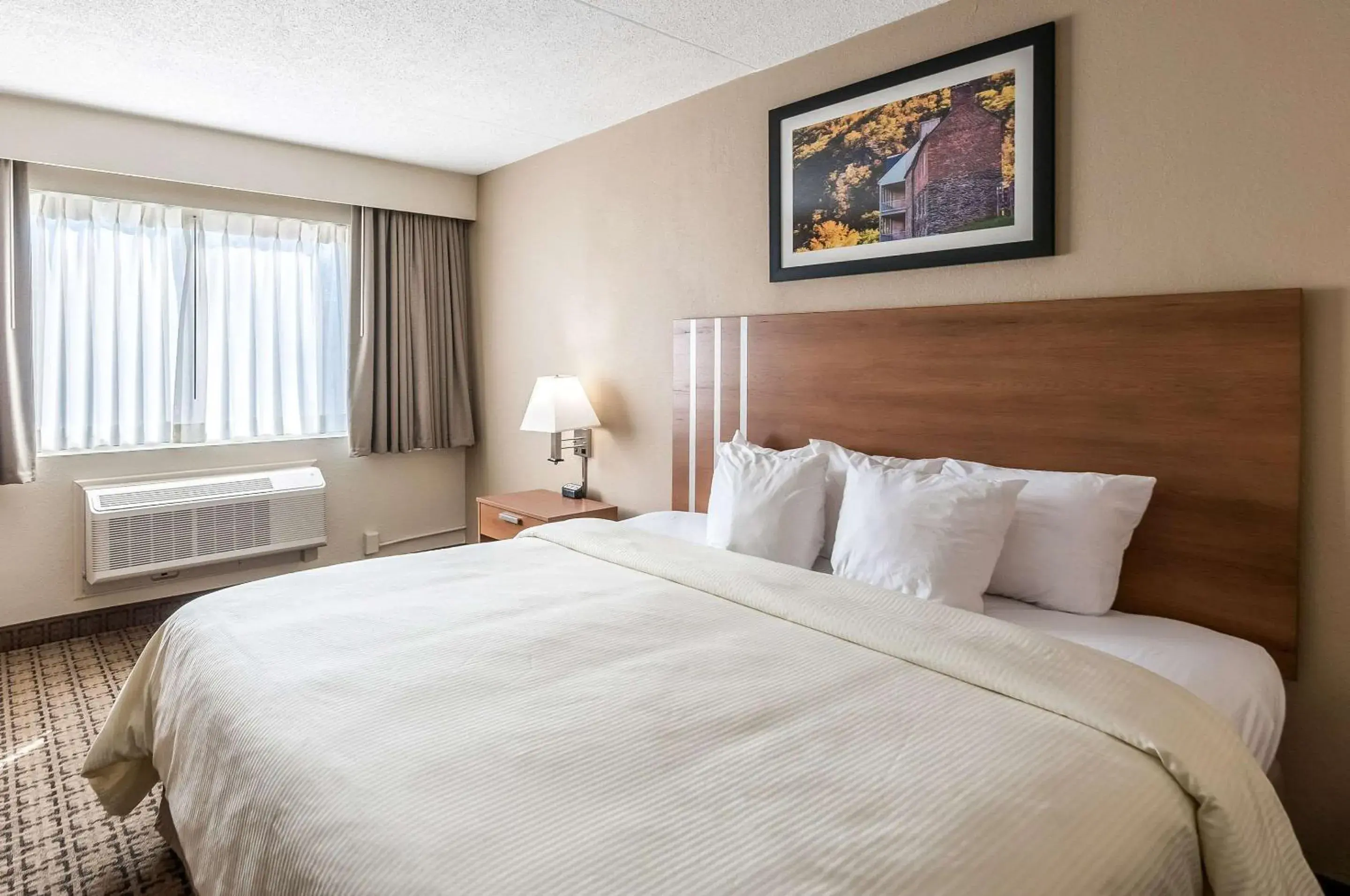 Bedroom, Bed in Clarion Inn Harpers Ferry-Charles Town Bedroom, Bed in Clarion Inn Harpers Ferry-Charles Town