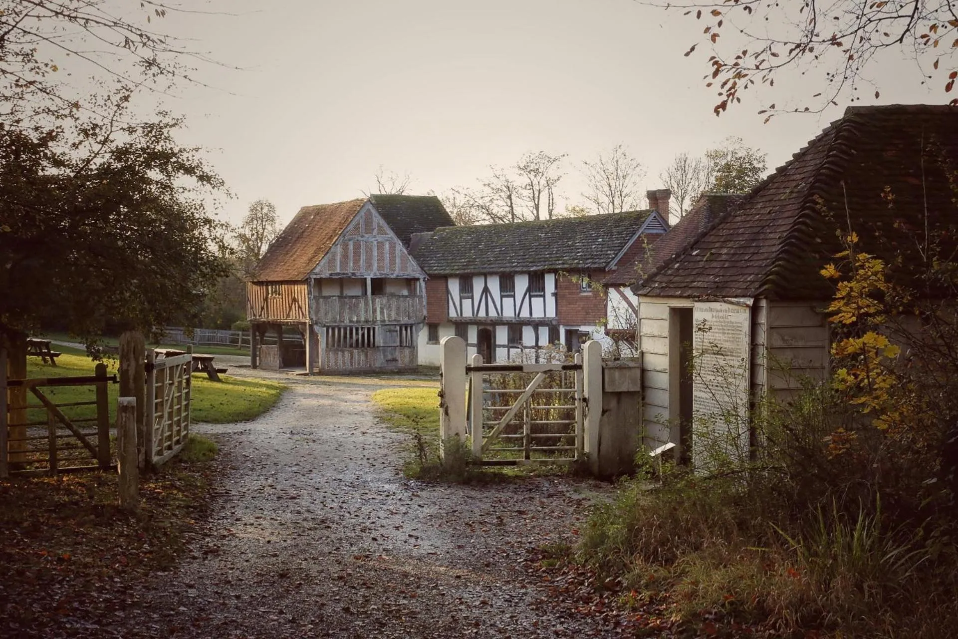 Activities in House Arundel