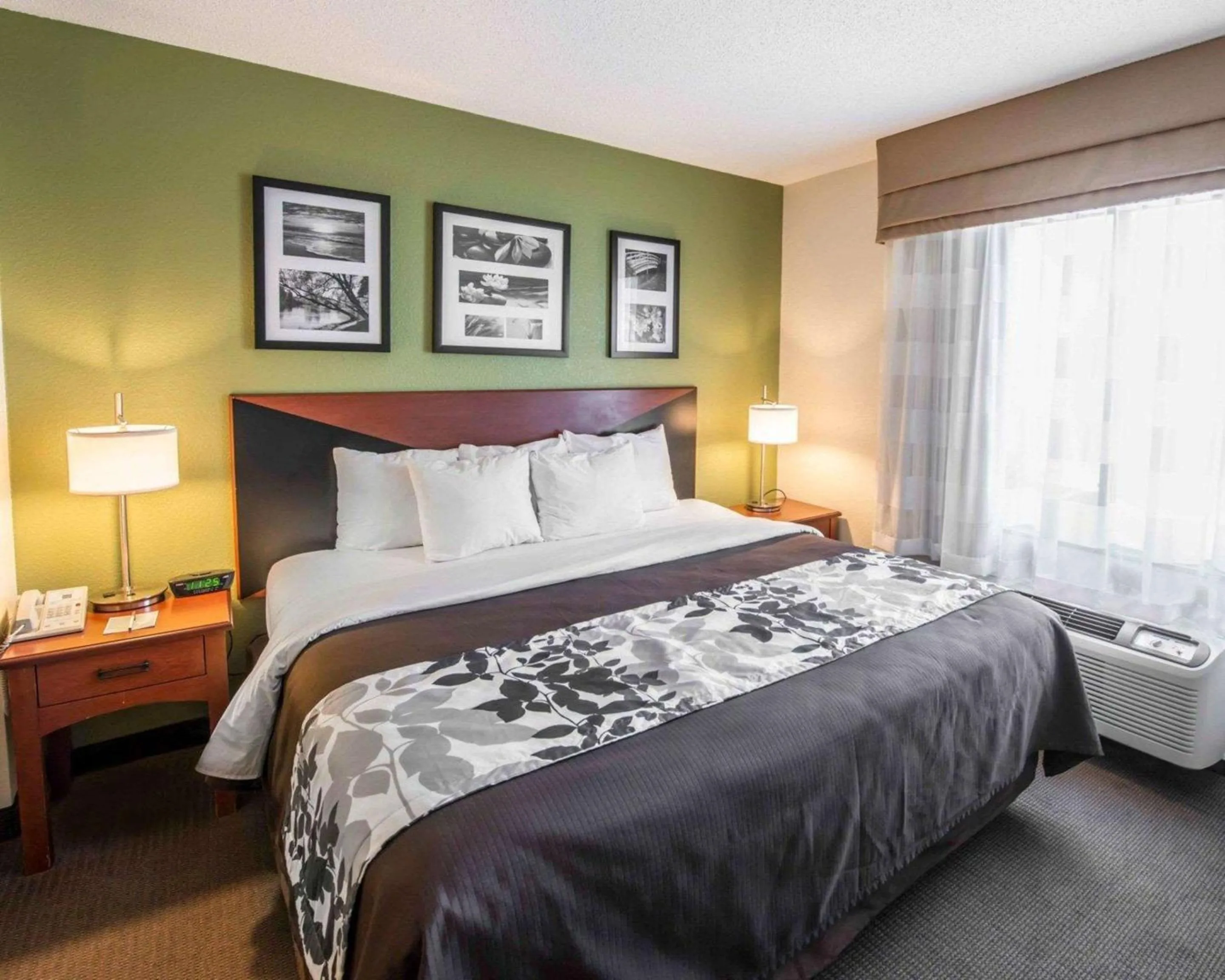 King Suite - Non-Smoking in Sleep Inn & Suites Princeton I-77