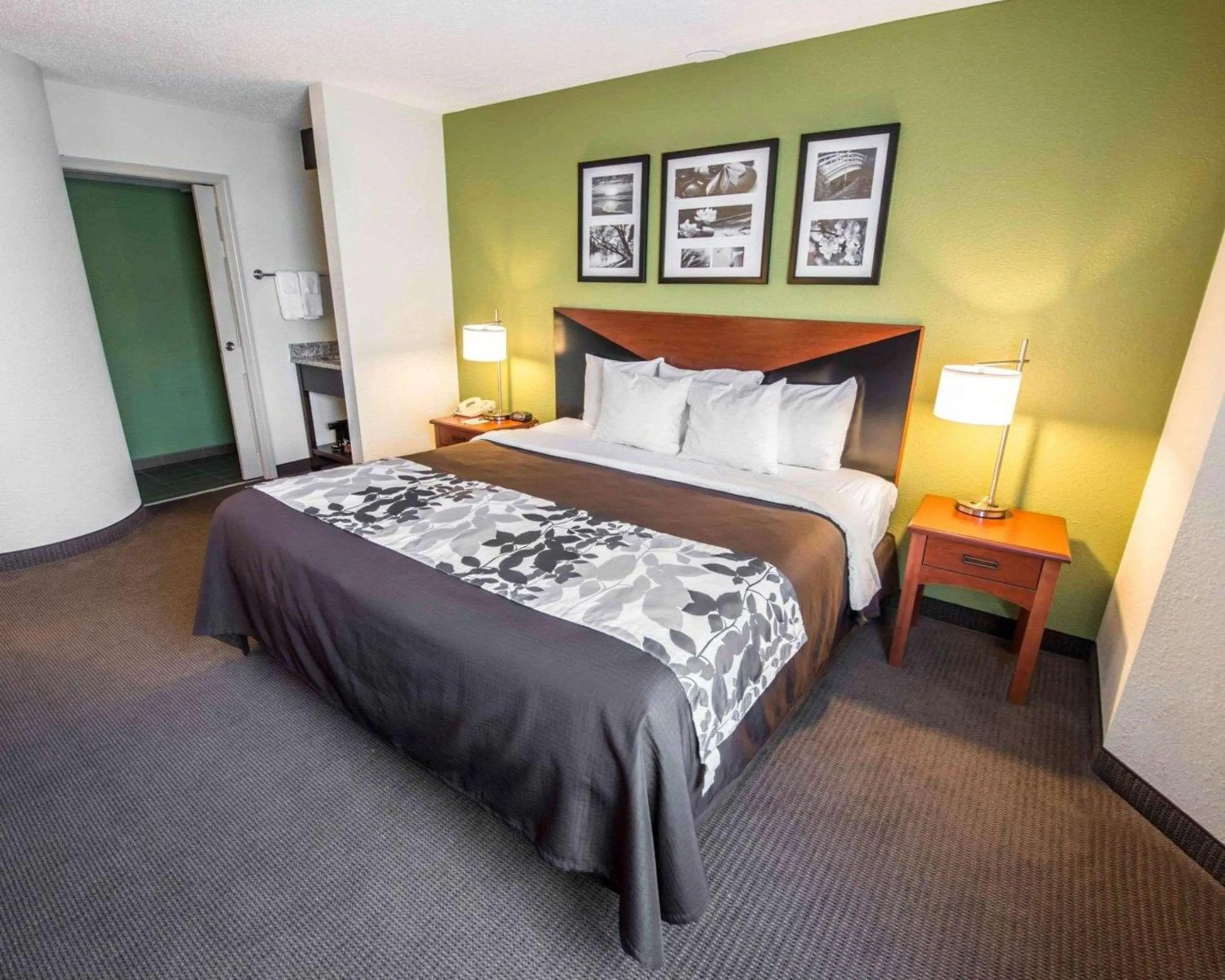Queen Room - Accessible/Non-Smoking in Sleep Inn & Suites Princeton I-77