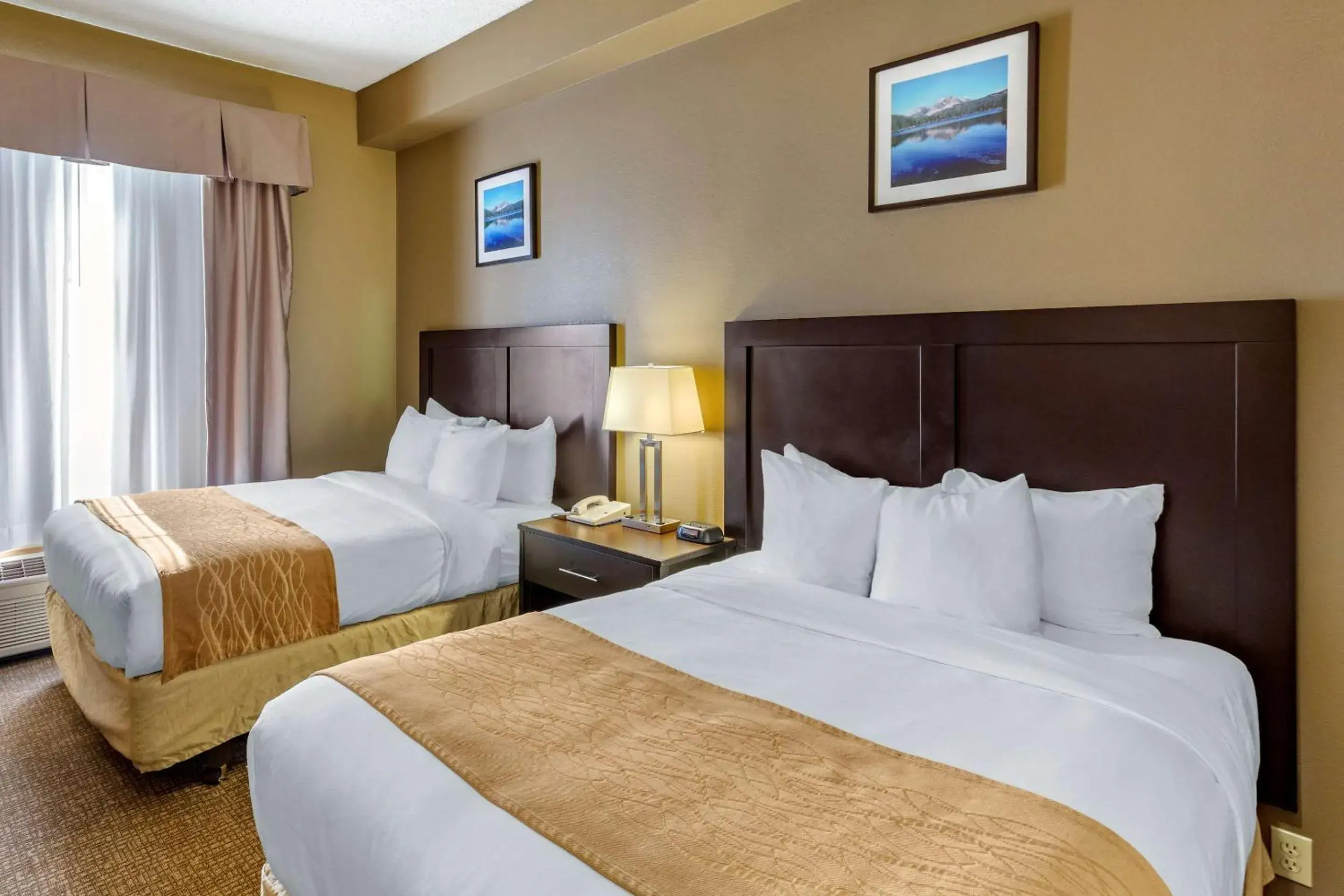 Photo of the whole room, Bed in Comfort Inn Evanston I-80 Photo of the whole room, Bed in Comfort Inn Evanston I-80