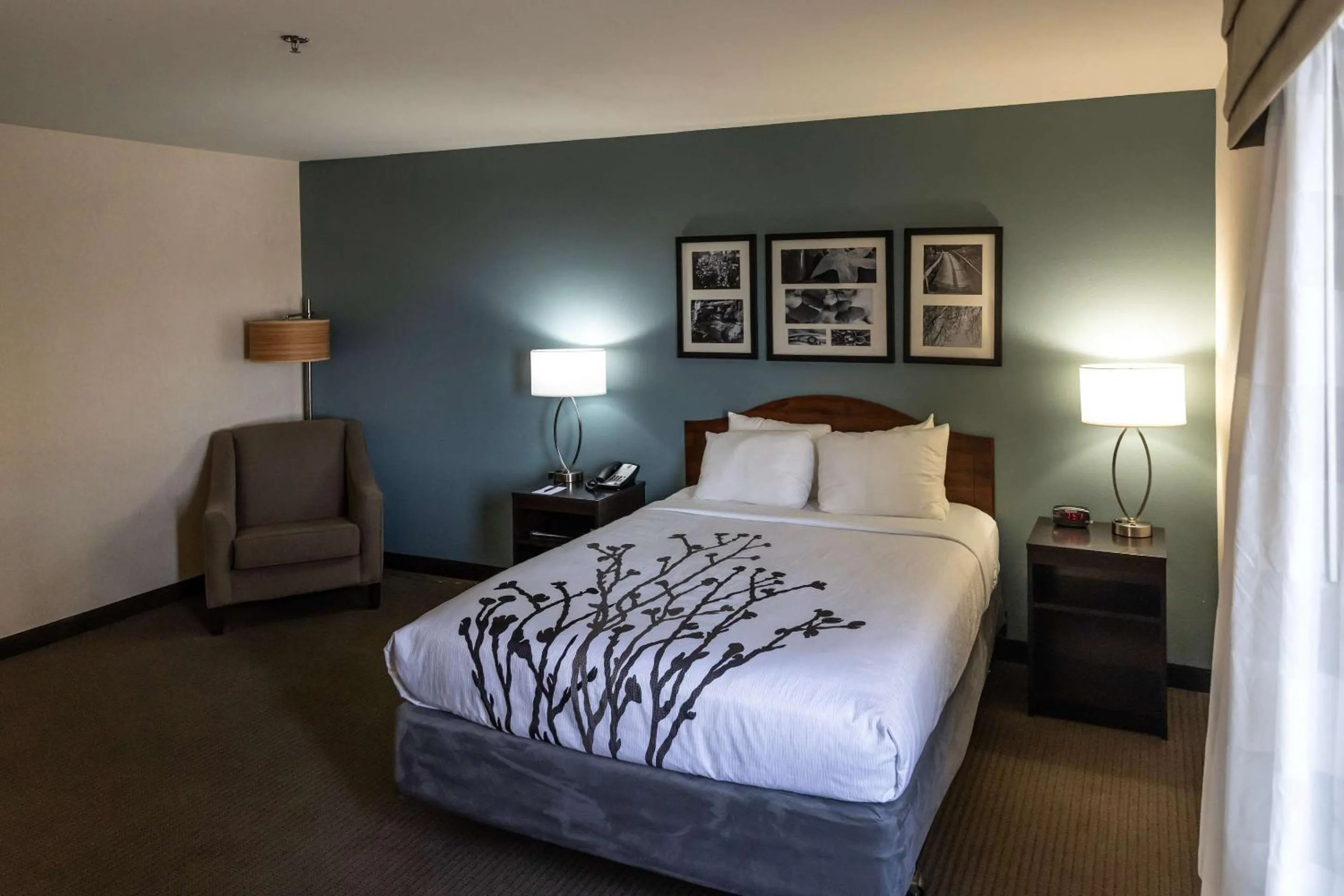 Bedroom, Bed in Sleep Inn & Suites Evansville - Casper