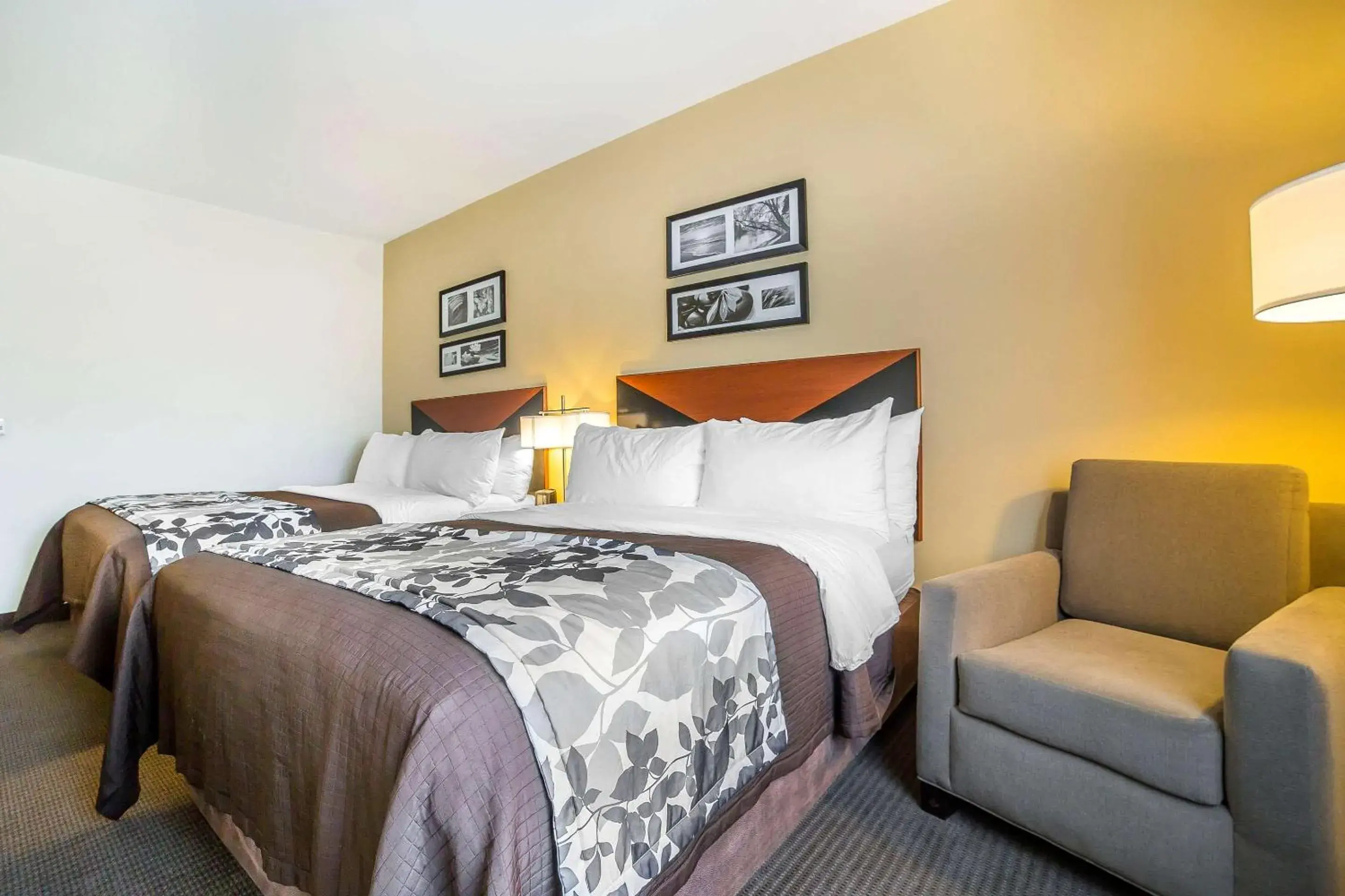 Standard Queen Room with Two Queen Beds - Non-Smoking in Sleep Inn & Suites Douglas Standard Queen Room with Two Queen Beds - Non-Smoking in Sleep Inn & Suites Douglas