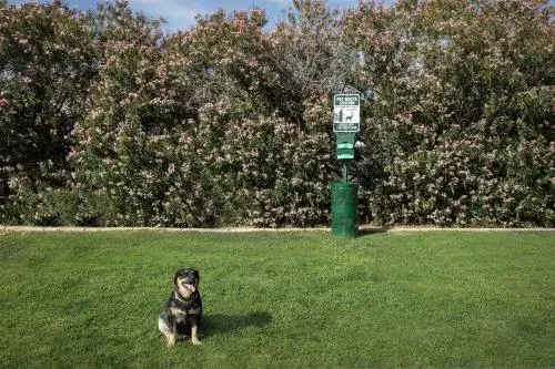Hampton Inn & Suites Phoenix Glendale-Westgate Hampton Inn & Suites Phoenix Glendale-Westgate