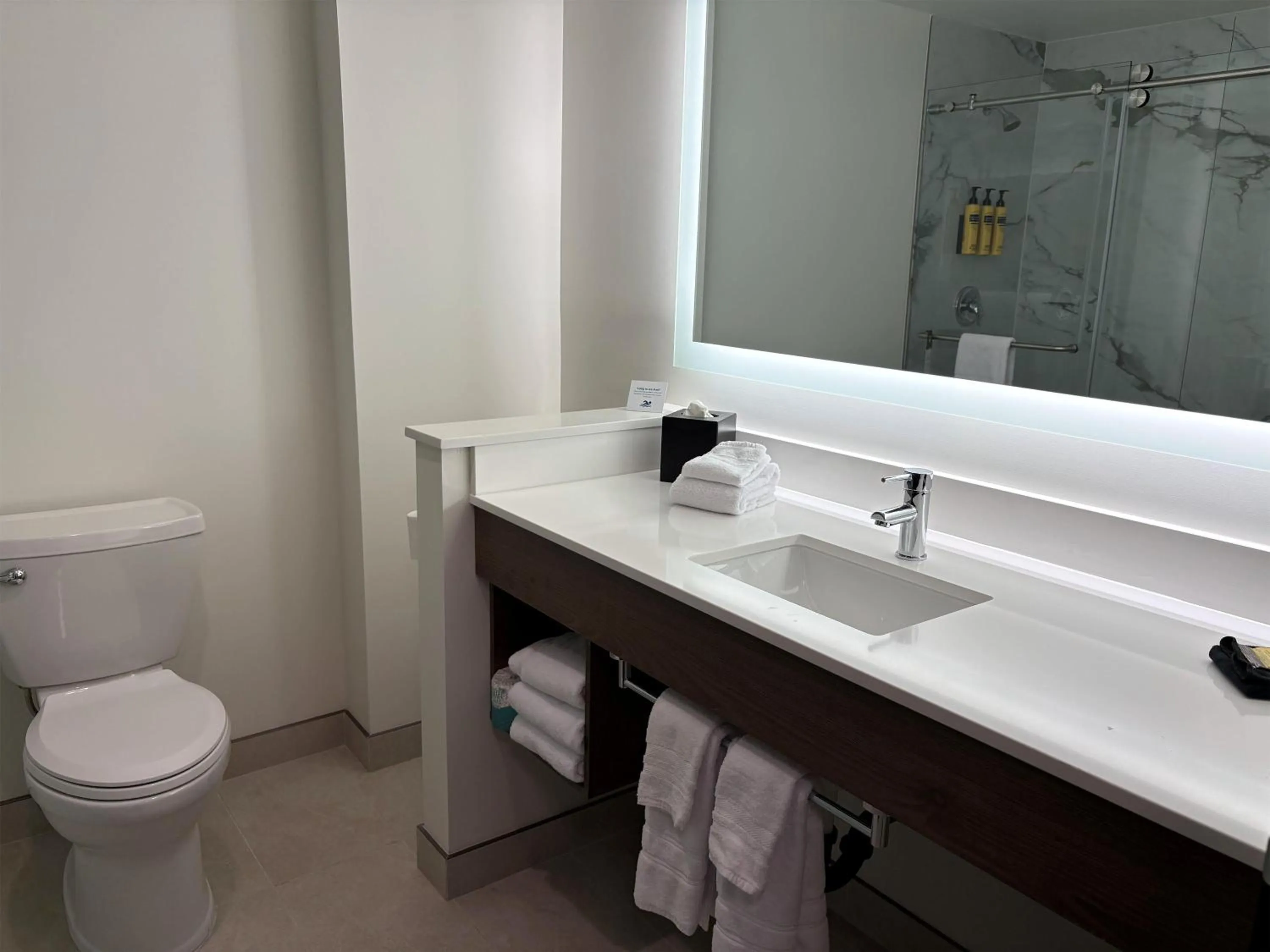 Bathroom in Best Western Plus Gilbert/Mesa