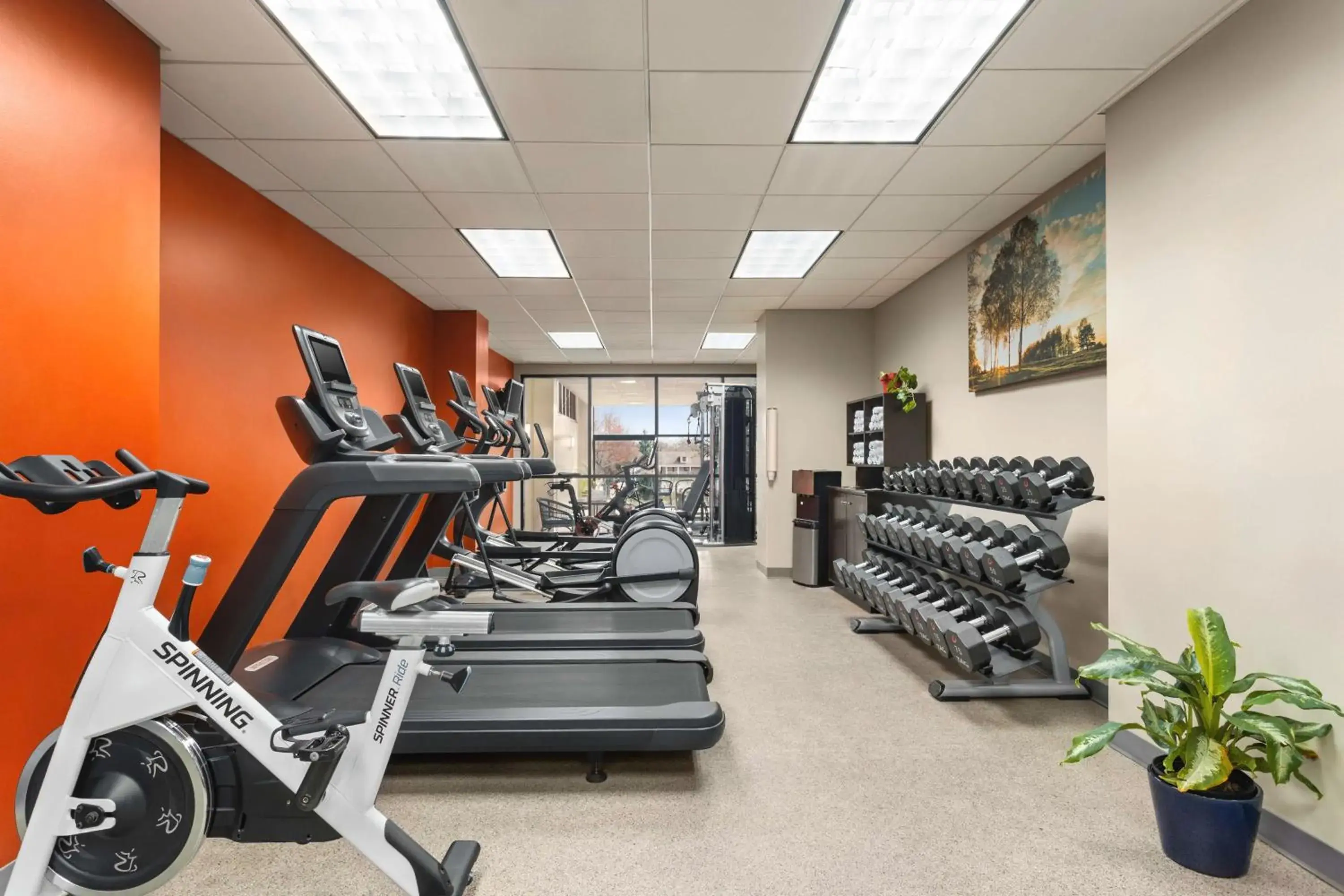 Fitness centre/facilities in Embassy Suites by Hilton Kansas City Overland Park Fitness centre/facilities in Embassy Suites by Hilton Kansas City Overland Park