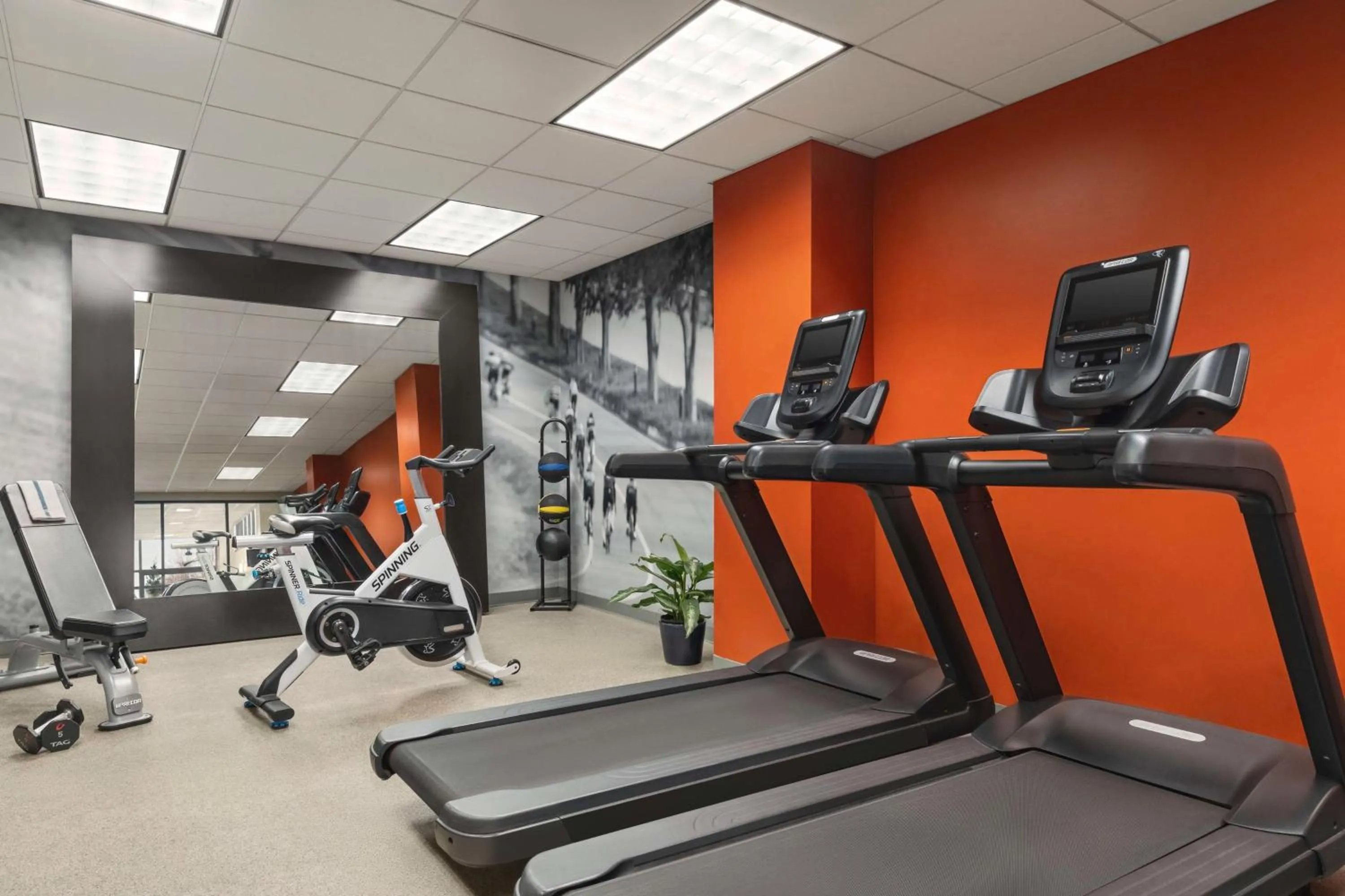 Fitness centre/facilities in Embassy Suites by Hilton Kansas City Overland Park