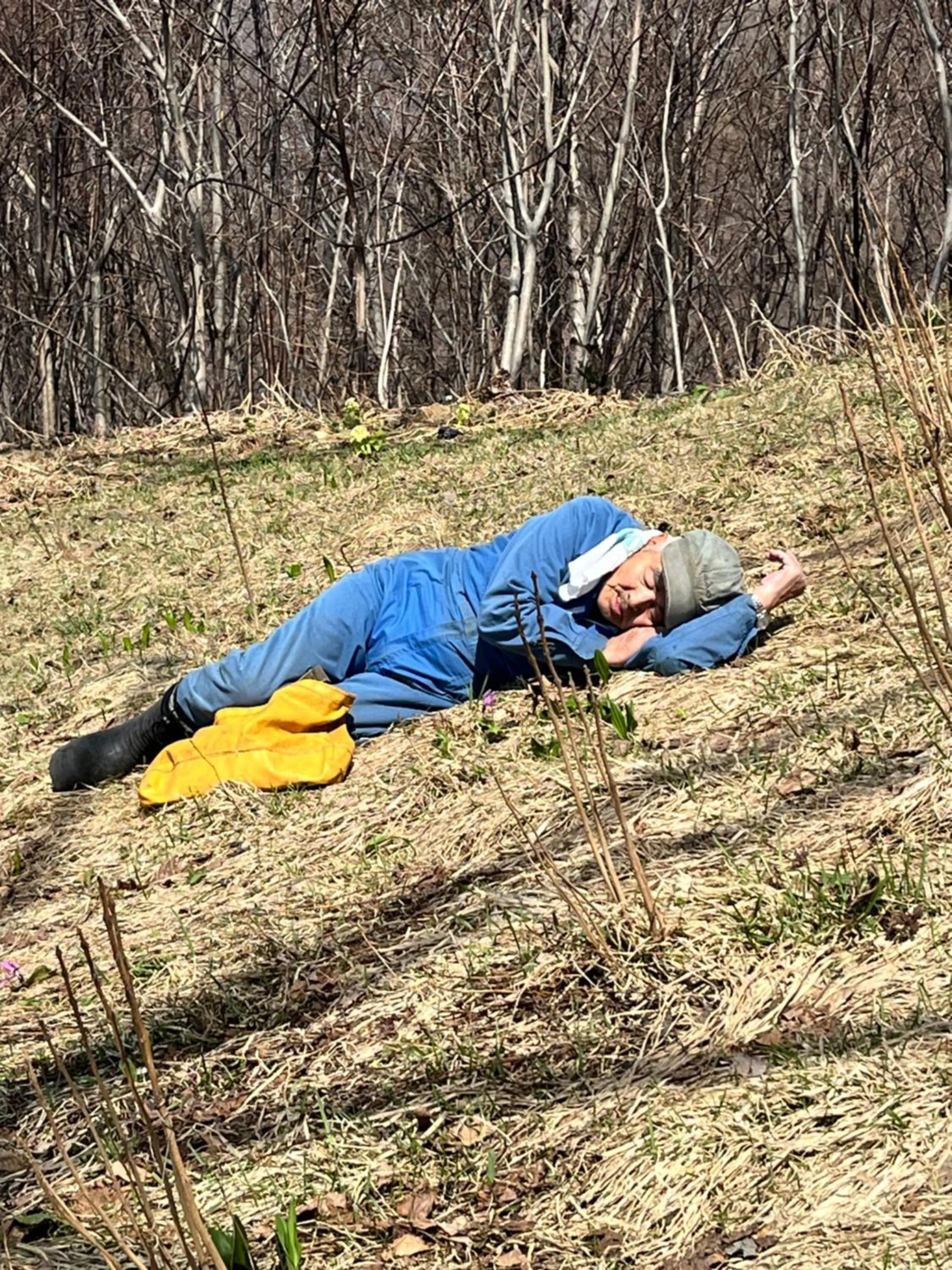 Spring in Boken Kazoku
