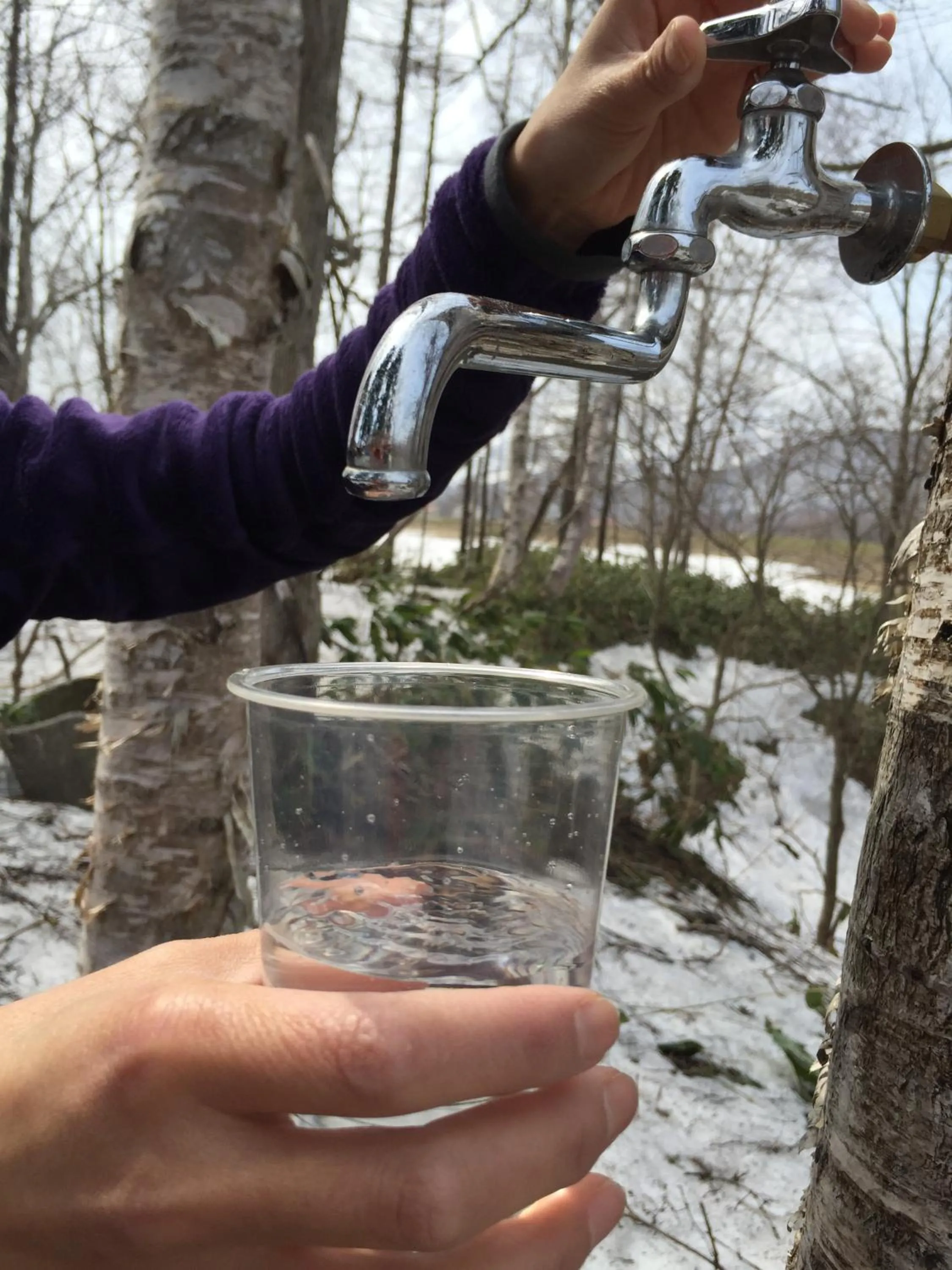 Activities in Boken Kazoku