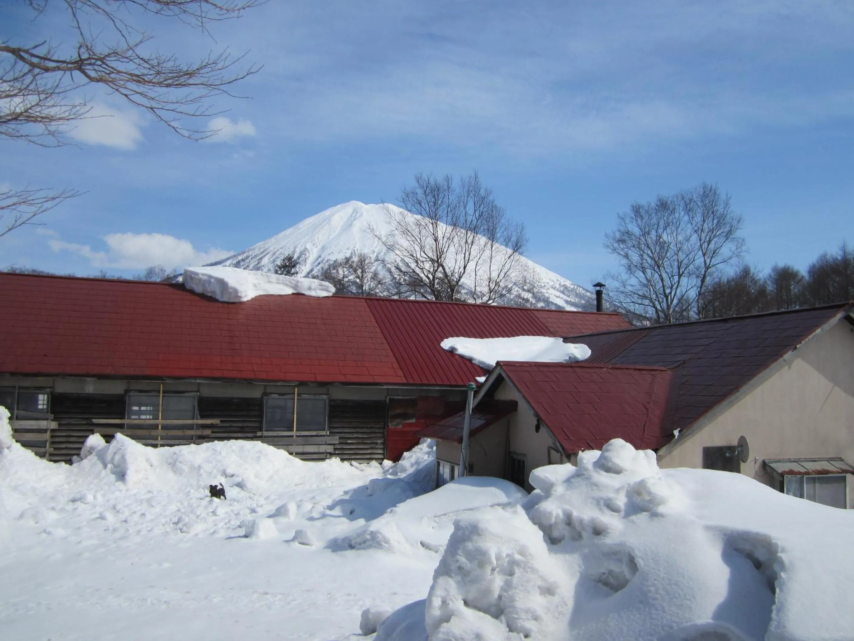 Facade/entrance in Boken Kazoku