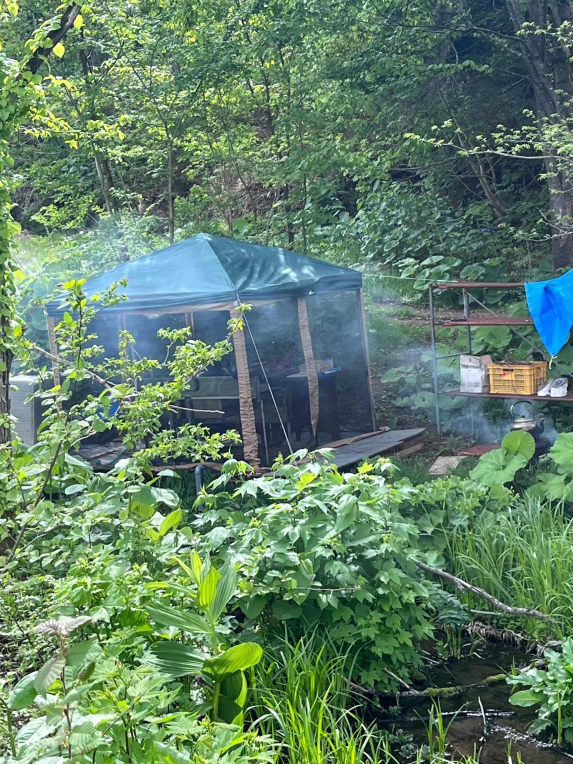 Garden in Boken Kazoku