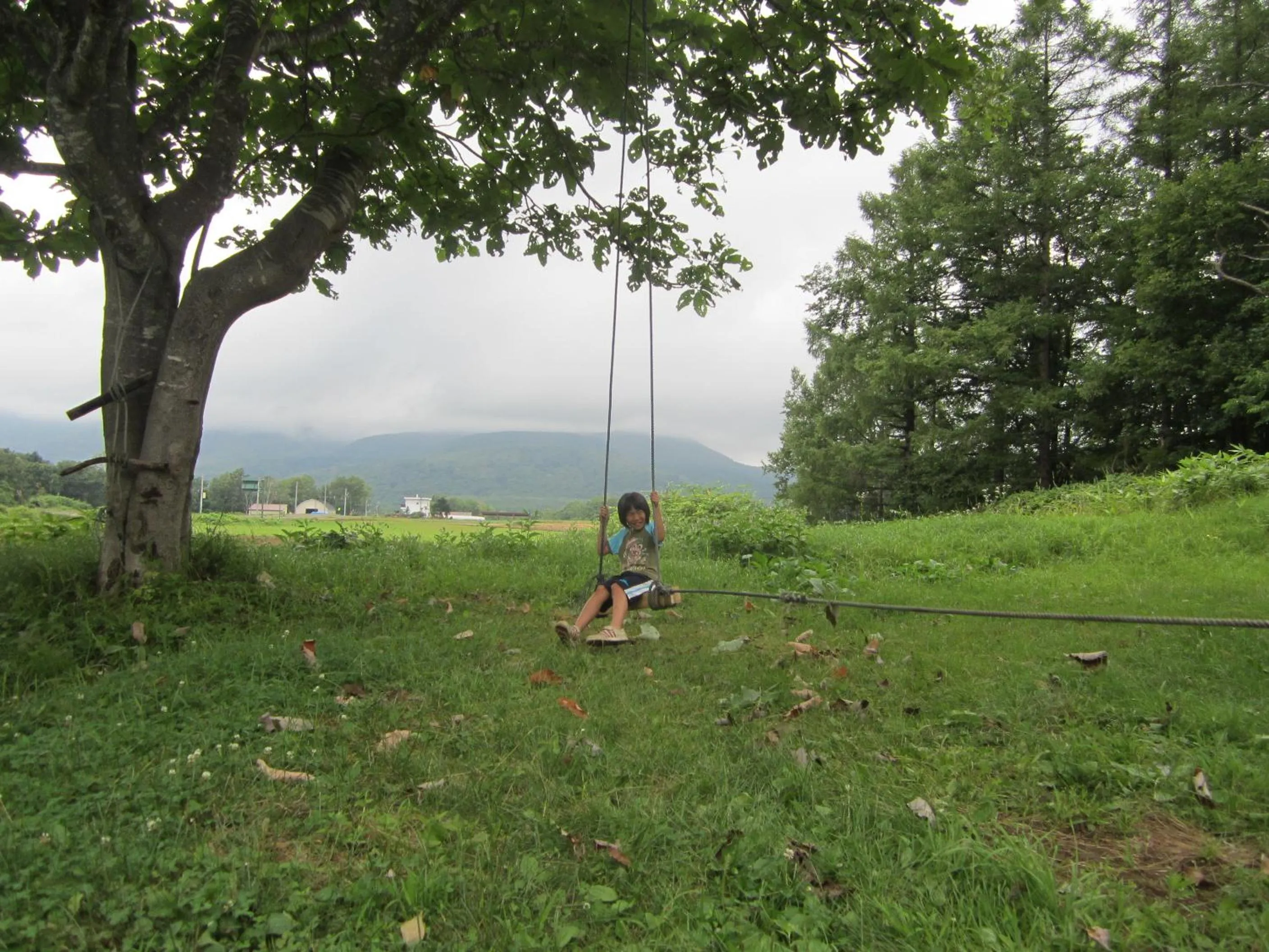 Summer in Boken Kazoku