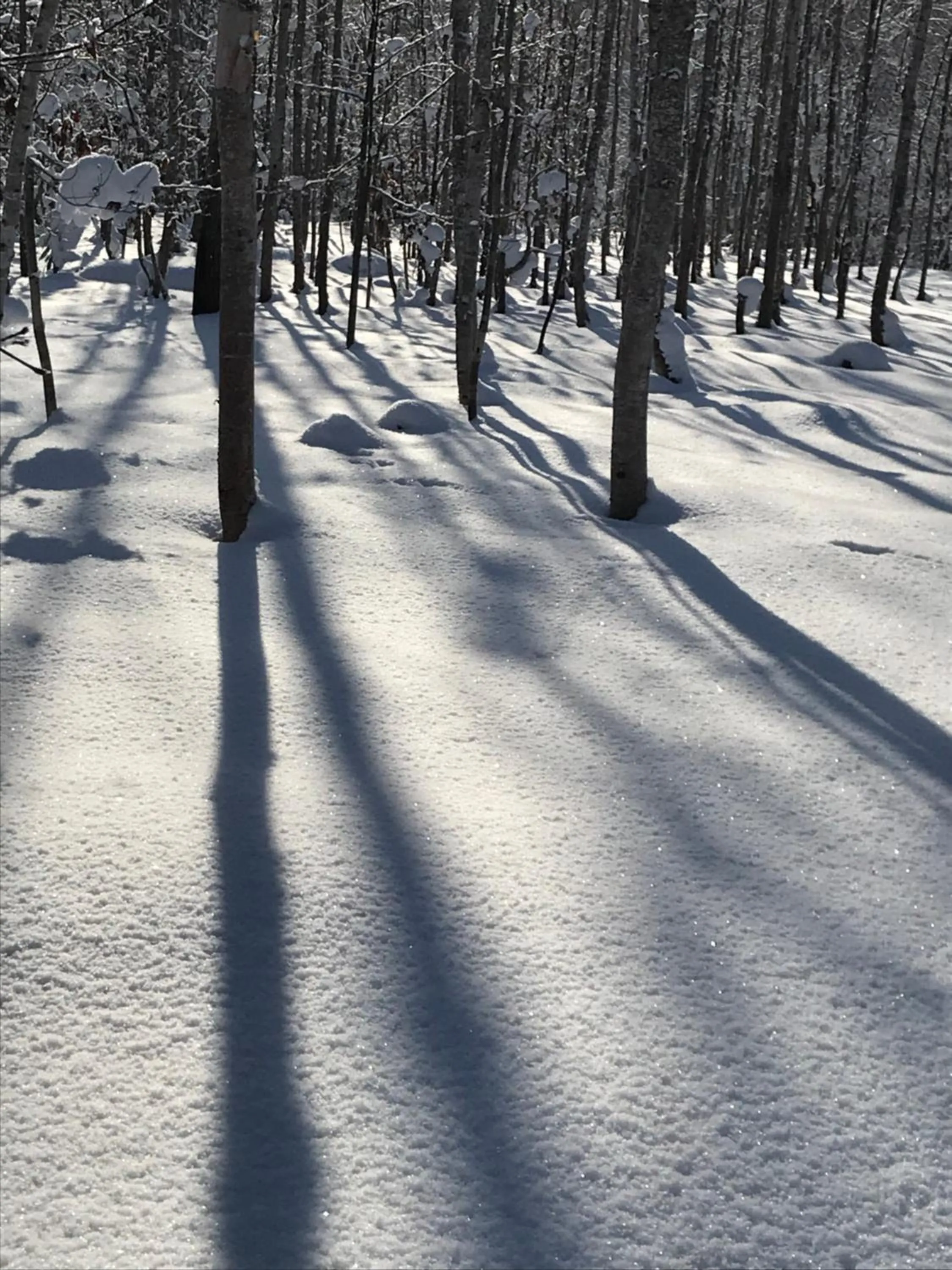 Winter in Boken Kazoku