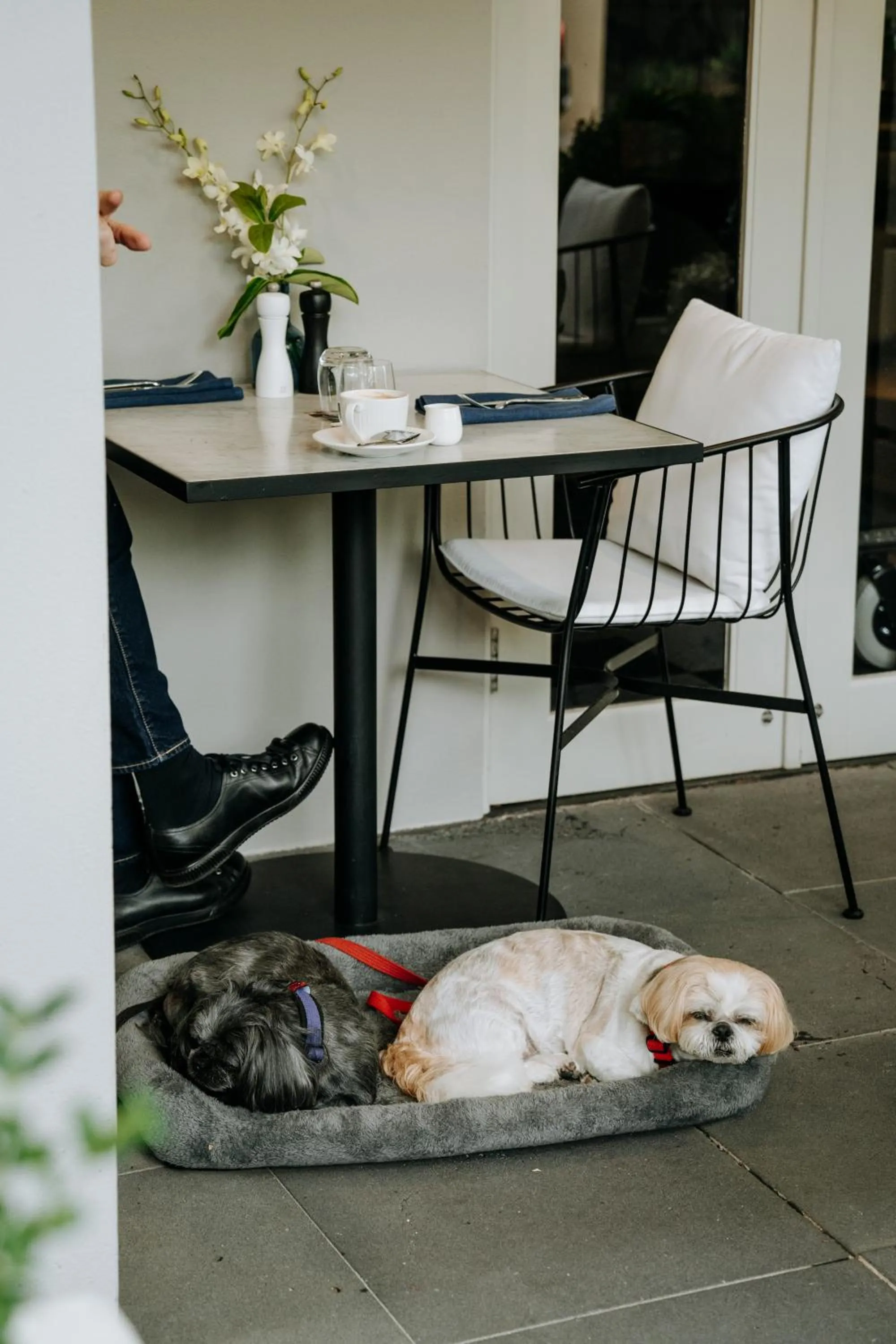 Balcony/Terrace in The Lyall