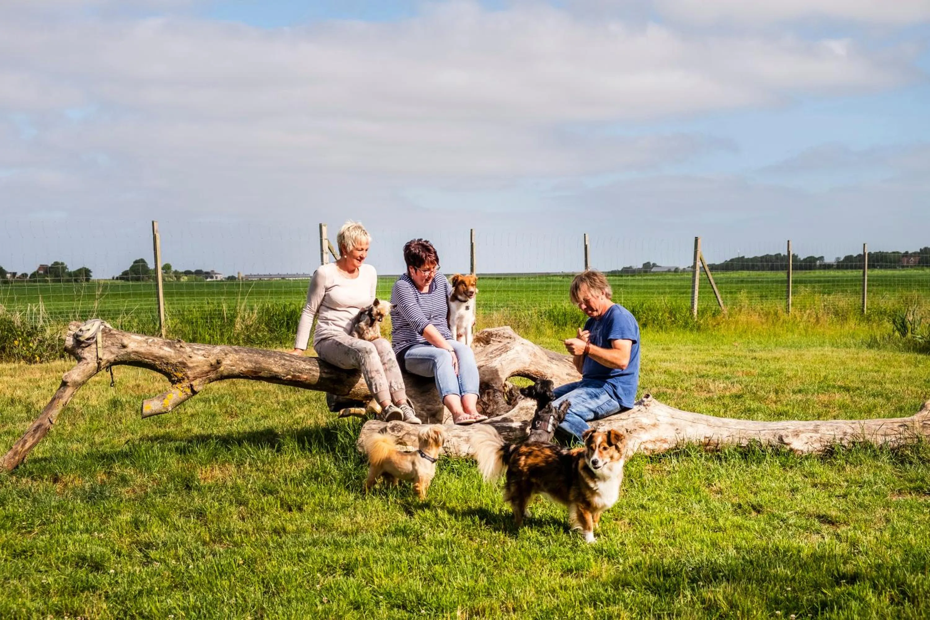 Other in Hotel, Restaurant, Café Pharisäerhof - Nordseeurlaub mit Hund