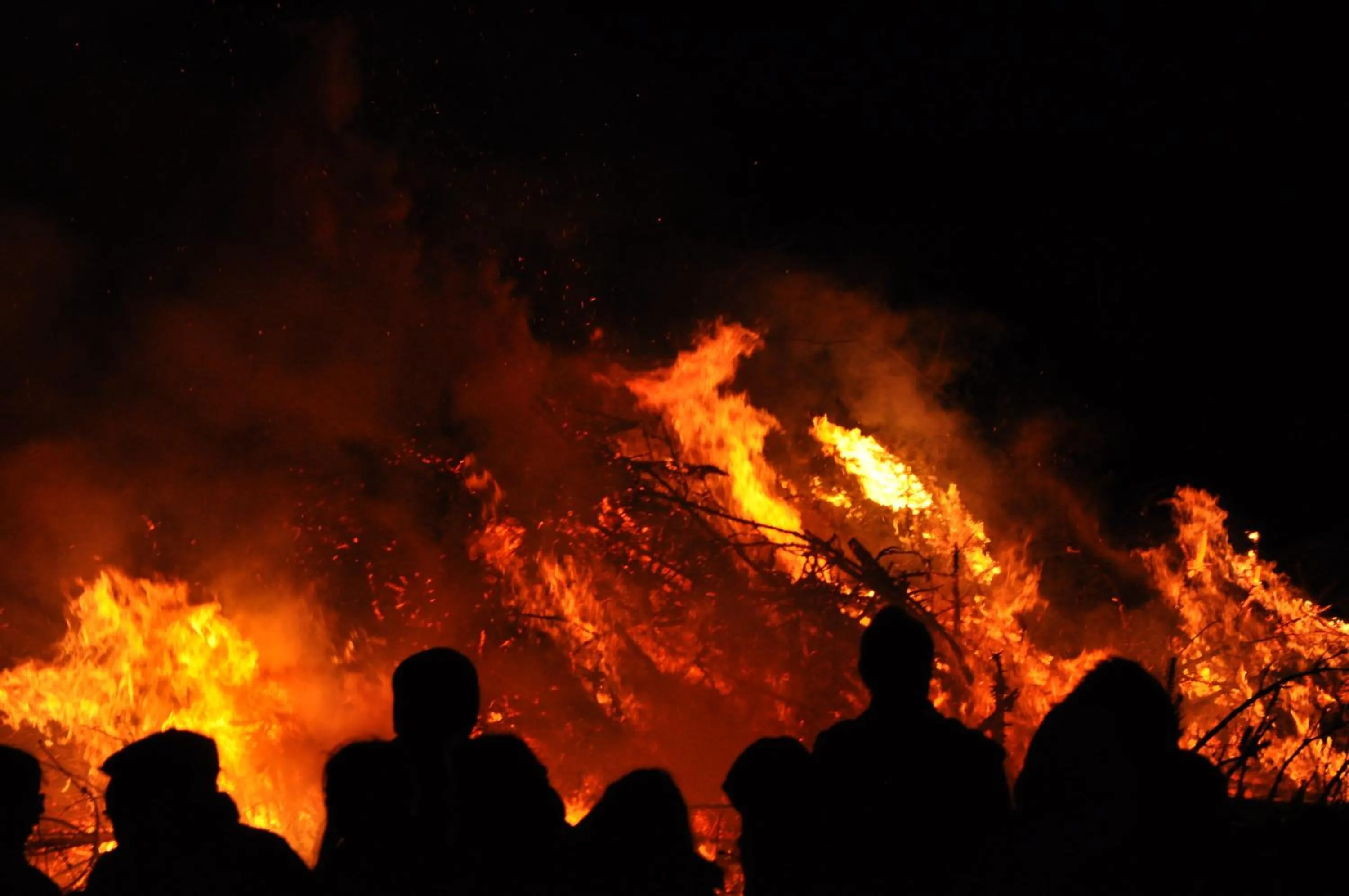 Other in Hotel, Restaurant, Café Pharisäerhof - Nordseeurlaub mit Hund
