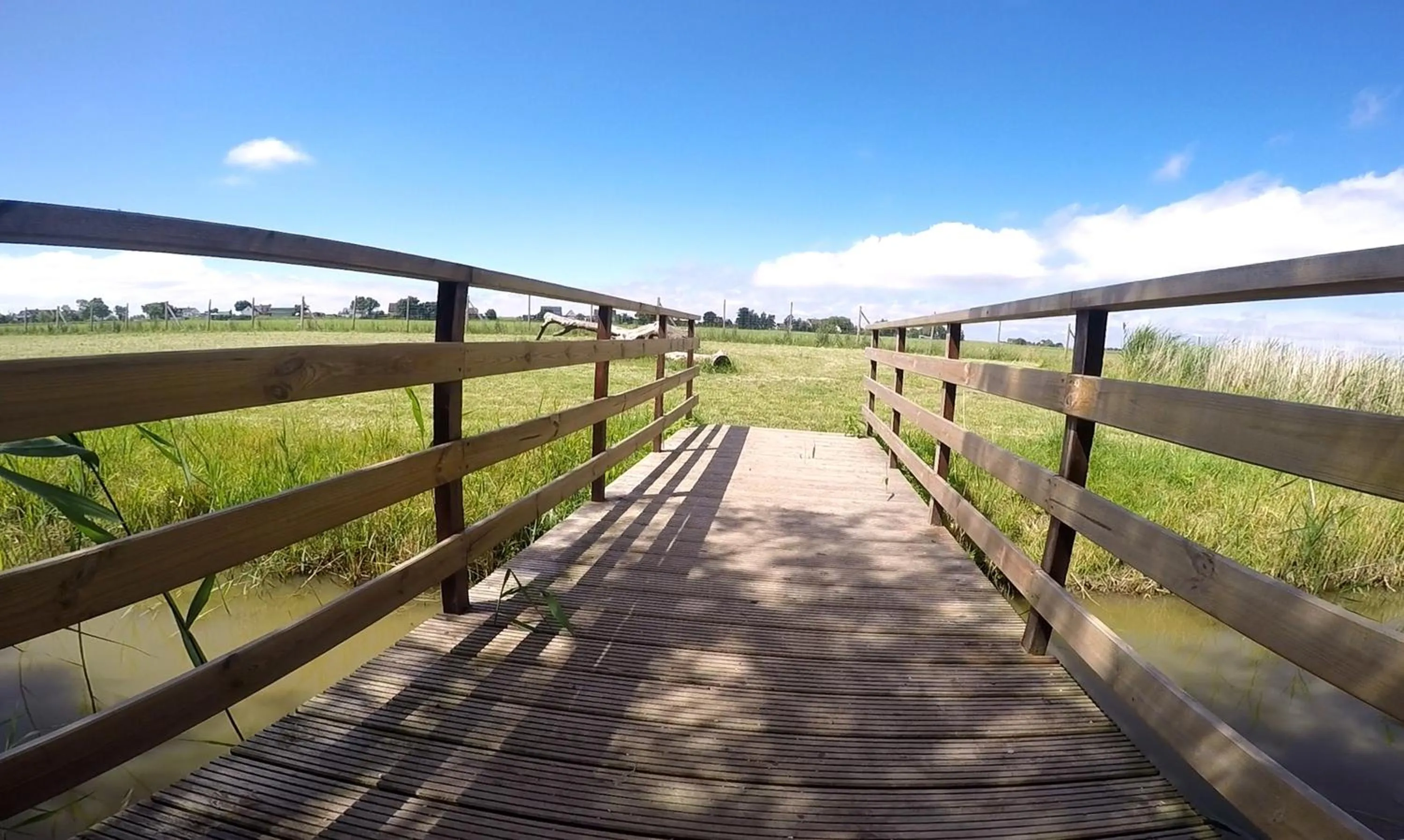 Day in Hotel, Restaurant, Café Pharisäerhof - Nordseeurlaub mit Hund