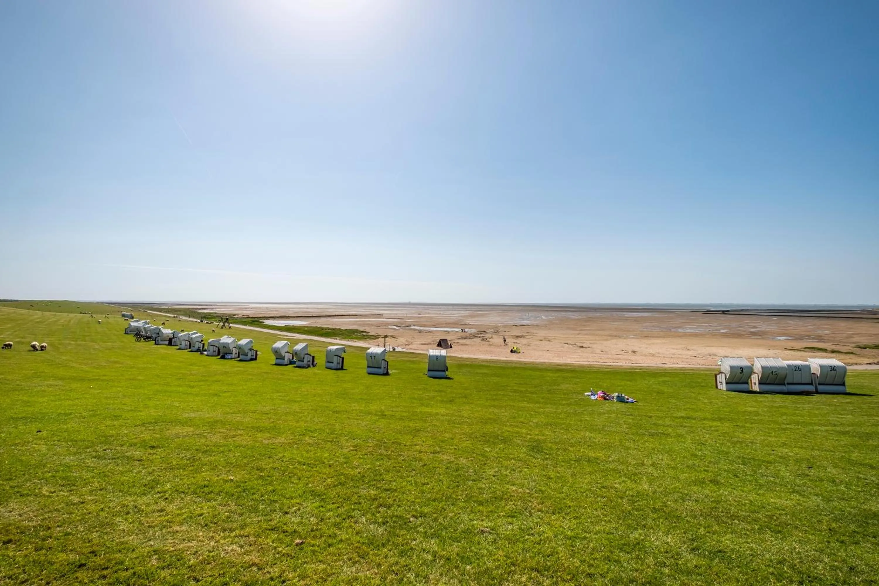 Staff in Hotel, Restaurant, Café Pharisäerhof - Nordseeurlaub mit Hund