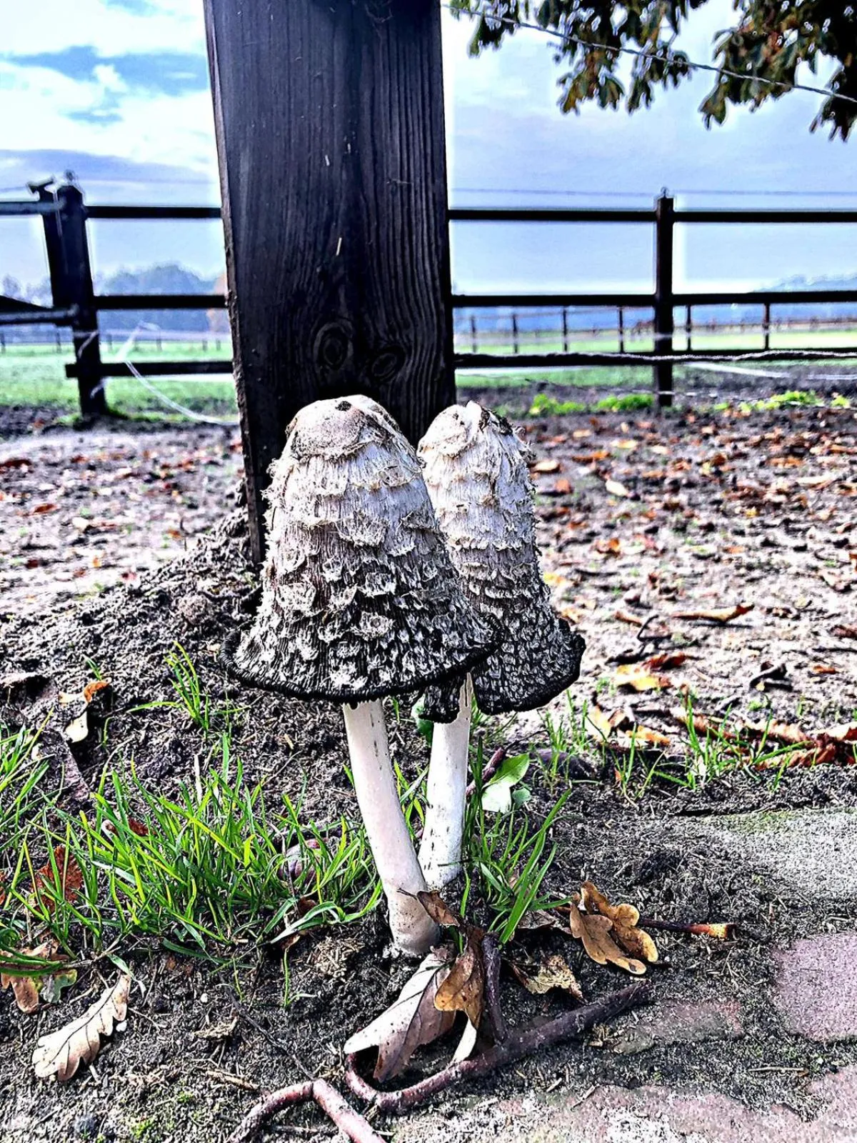 Erve Het Roolvink Boerderij Appartementen 40-50 M2