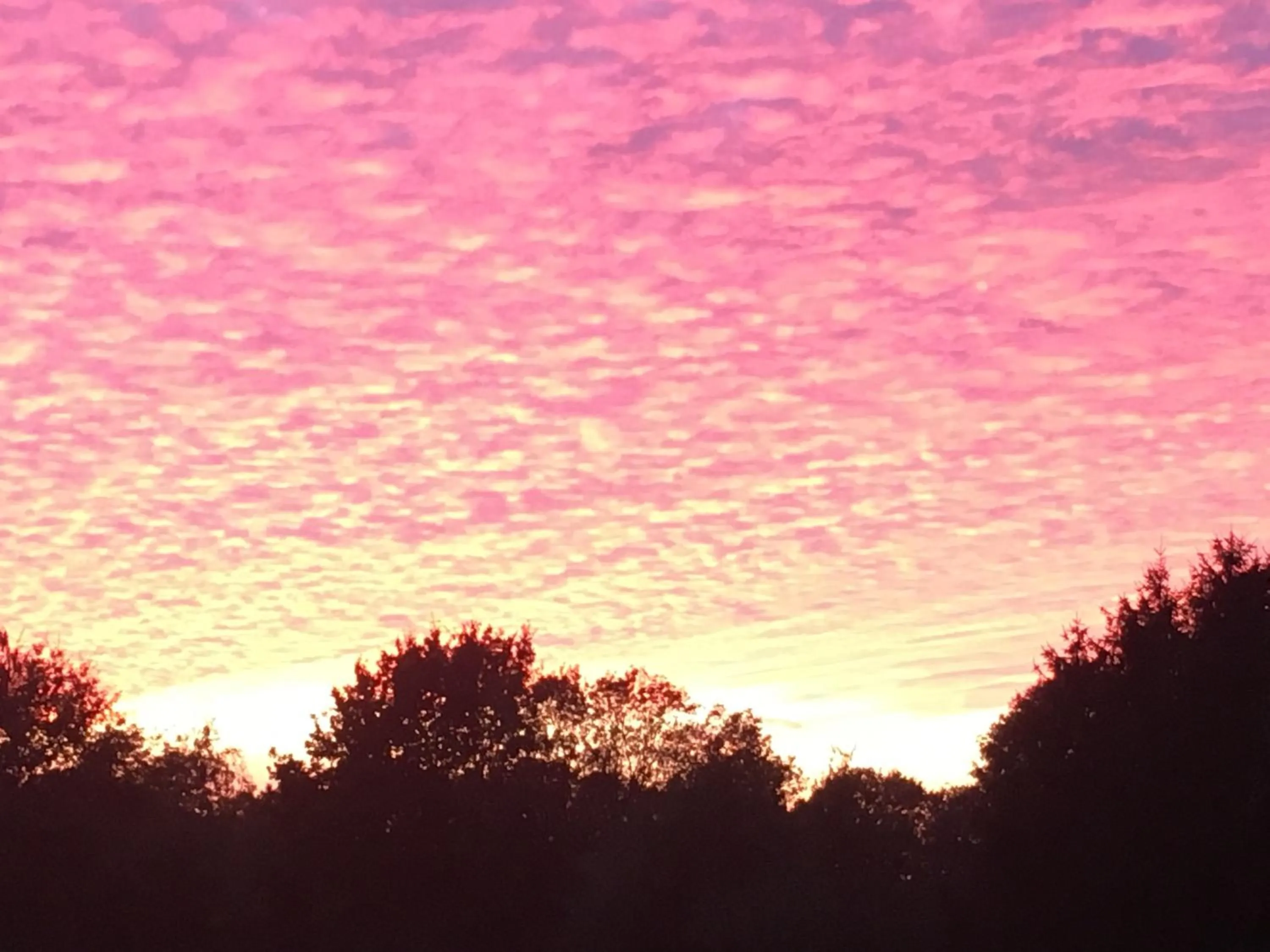 Erve Het Roolvink Boerderij Appartementen 40-50 M2