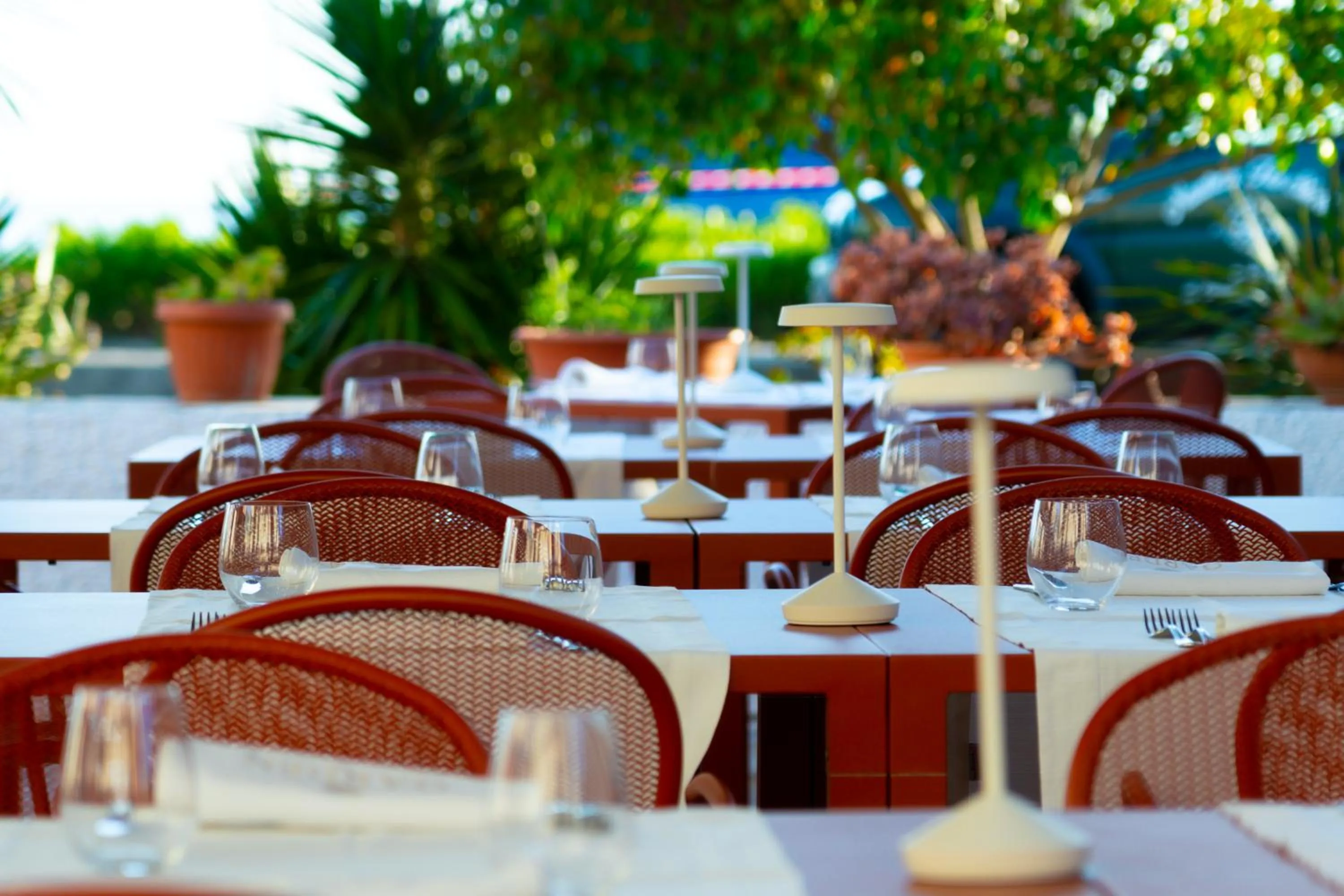 Restaurant/places to eat in Hotel Garden