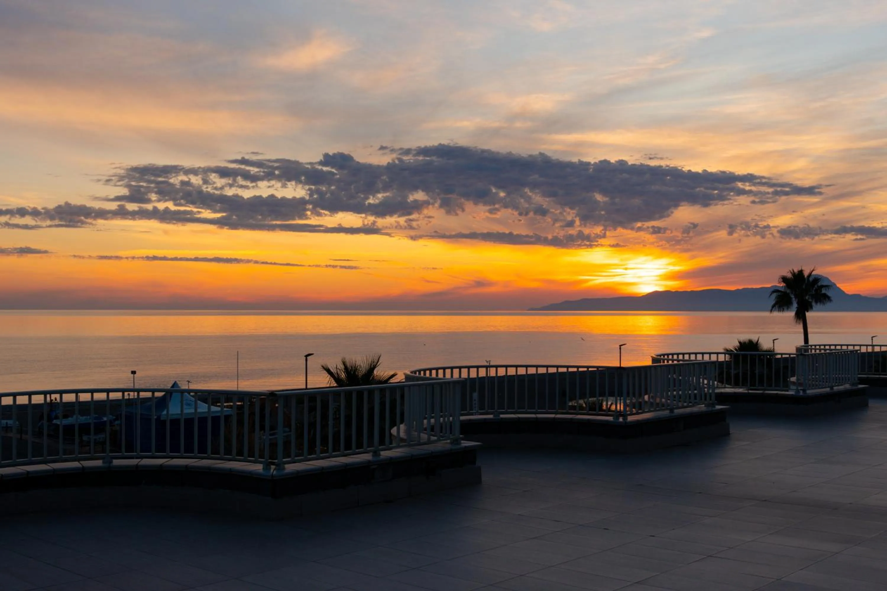 Natural landscape in Hotel Garden