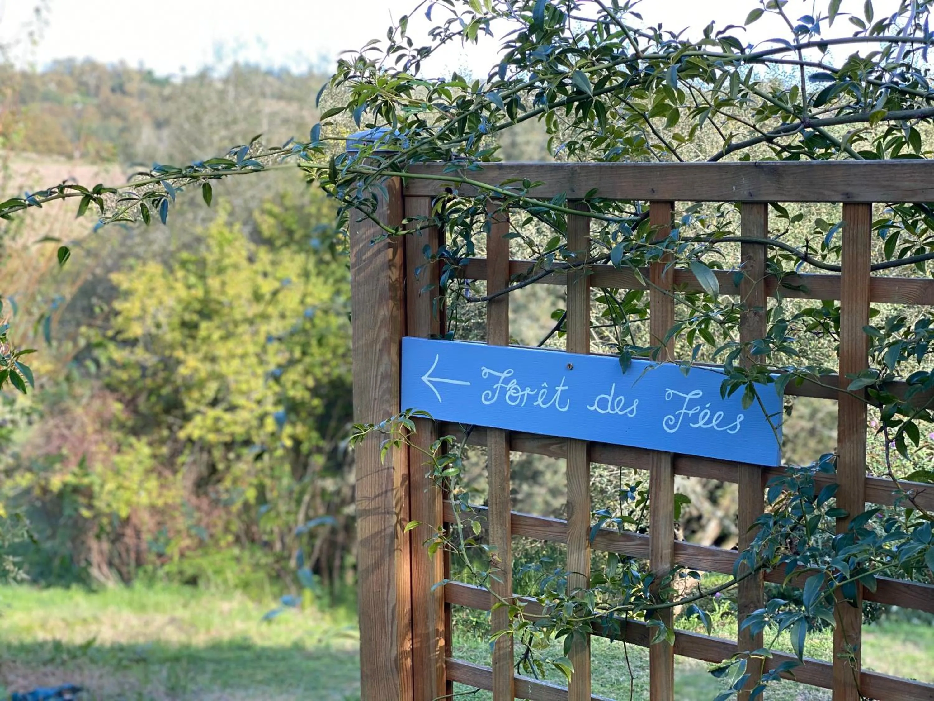 Garden in Chambres d'Hôtes Secret Pyrenées