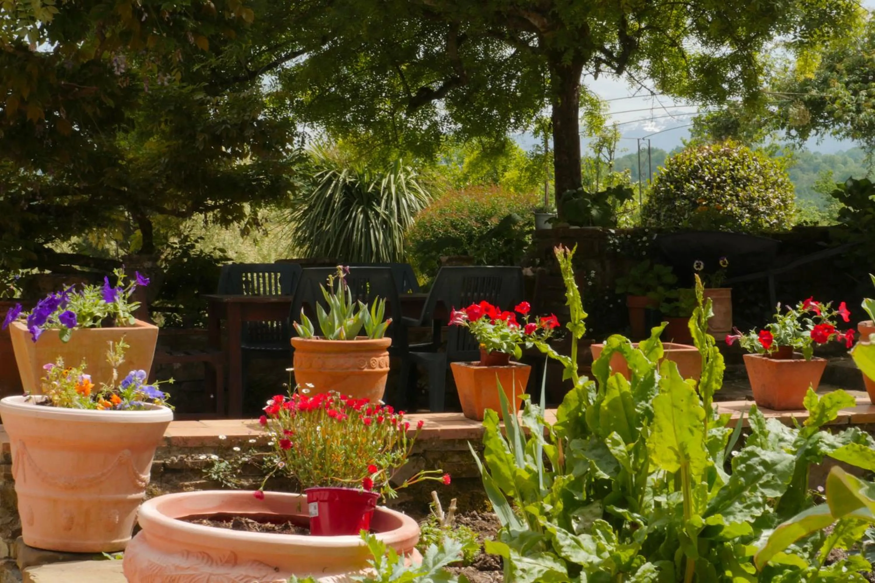 Garden in Chambres d'Hôtes Secret Pyrenées