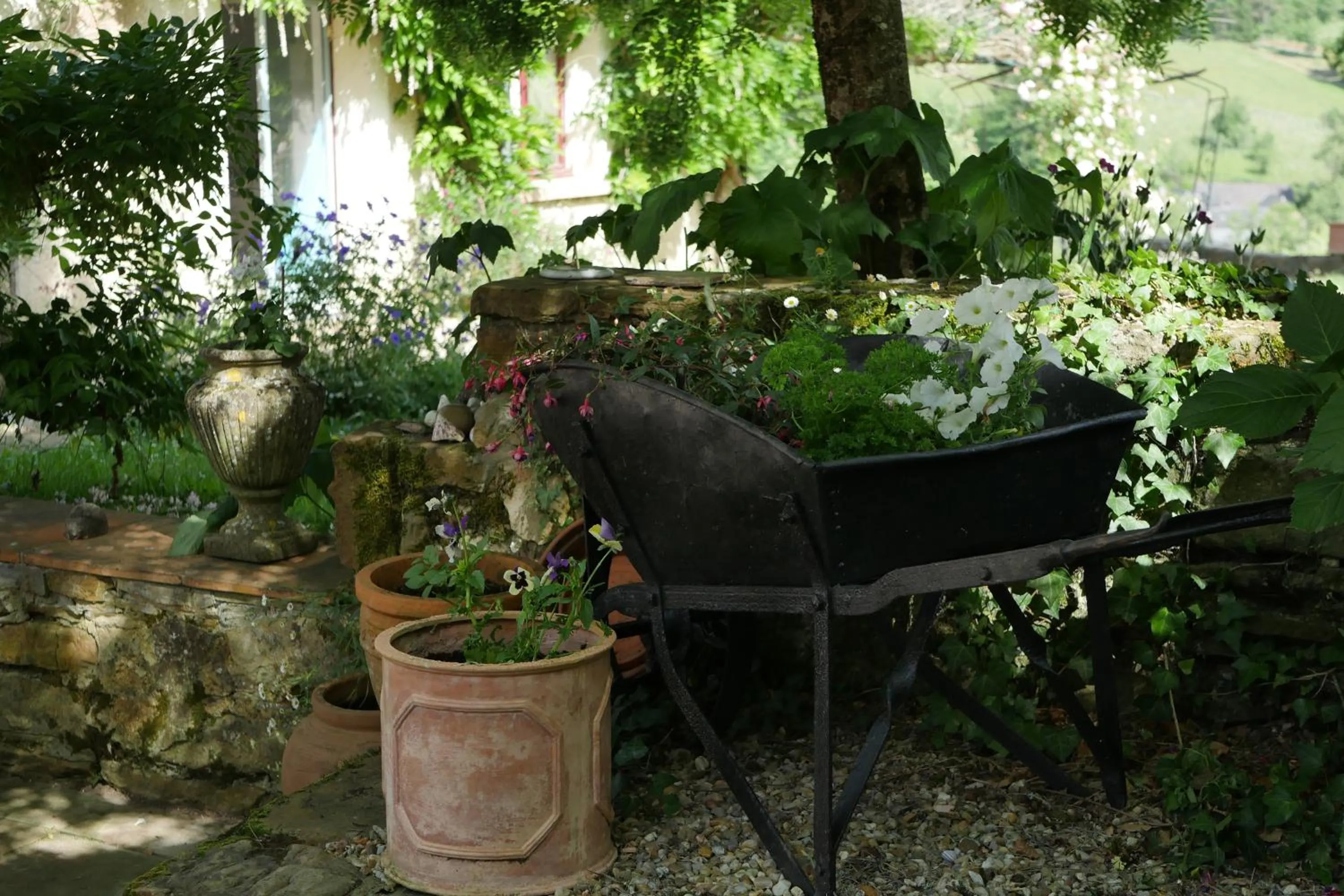 Garden in Chambres d'Hôtes Secret Pyrenées