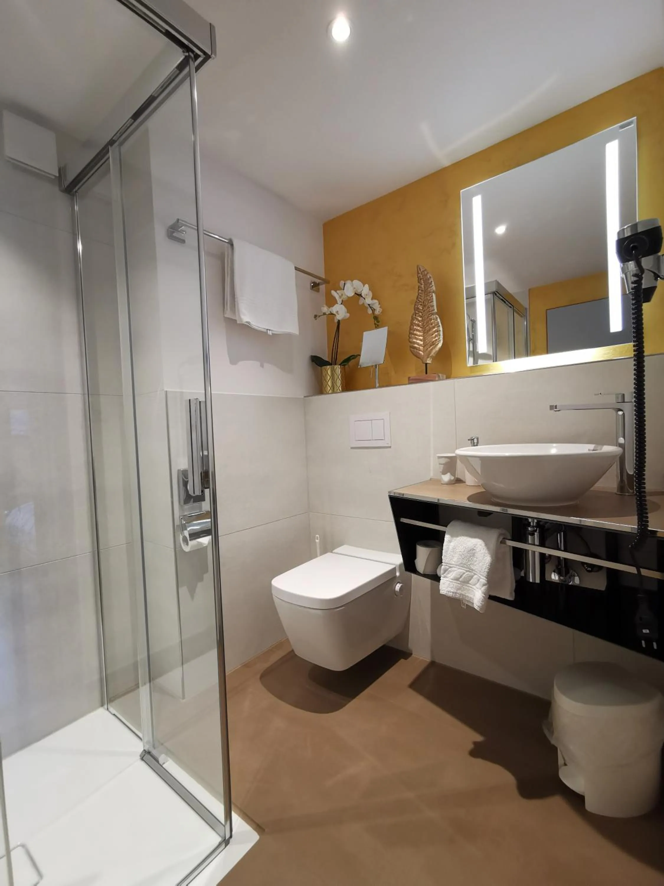 Shower in Hotel Brienzersee