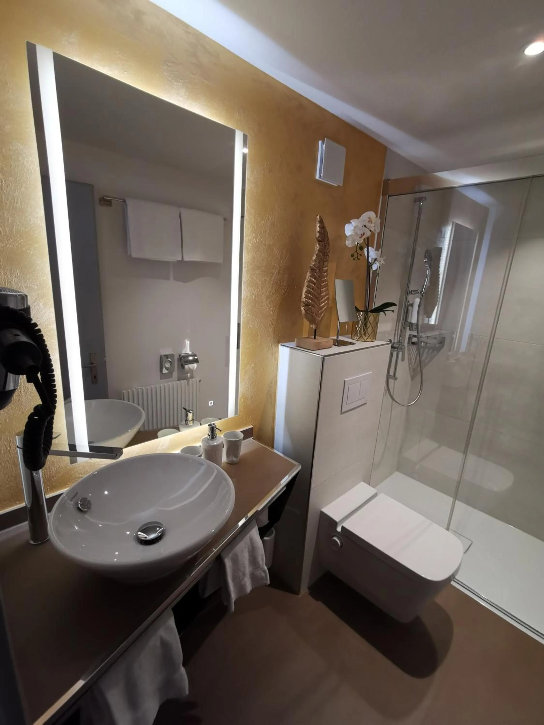 Bathroom in Hotel Brienzersee