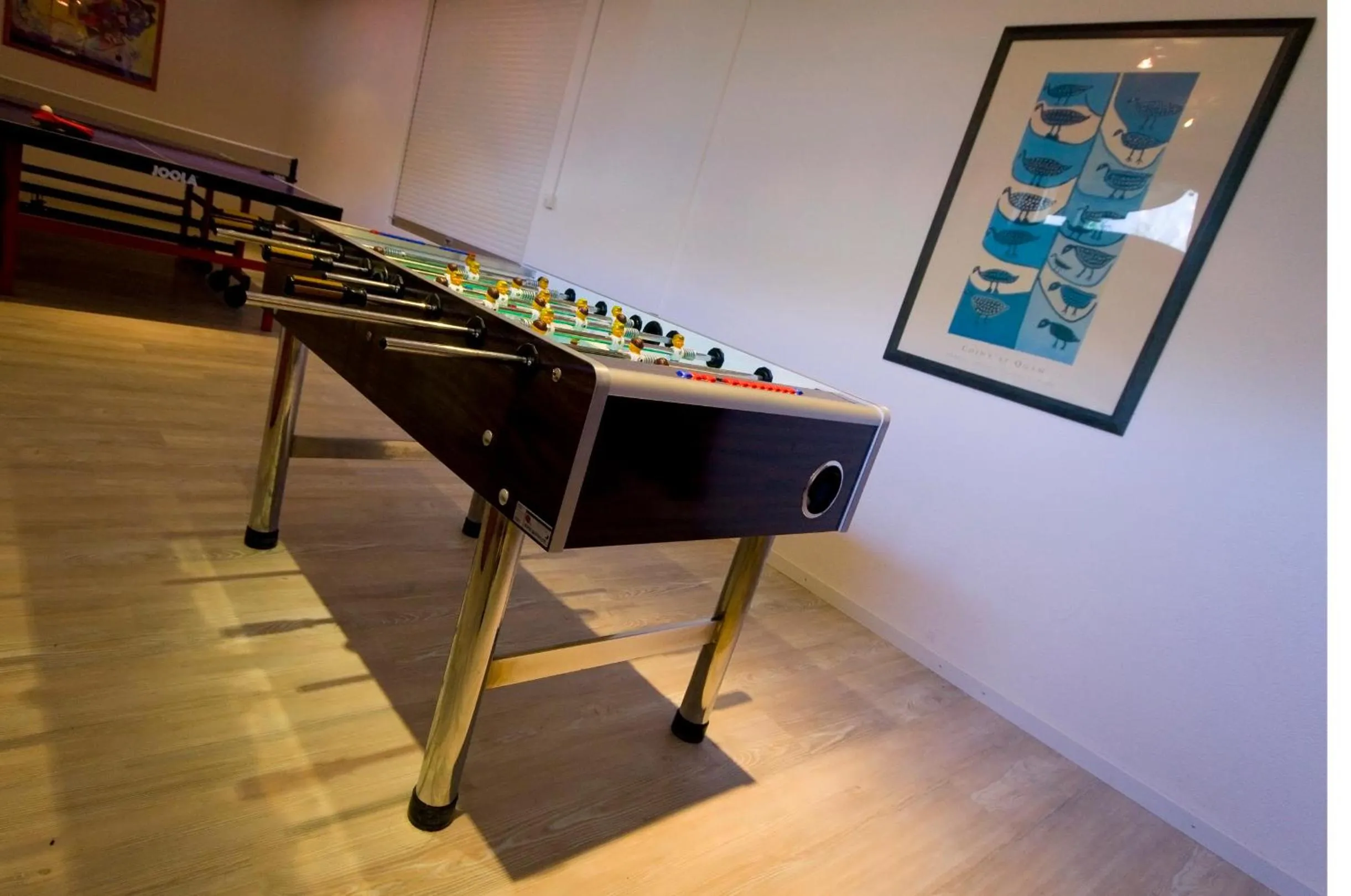 Game Room in Hotel Brienzersee