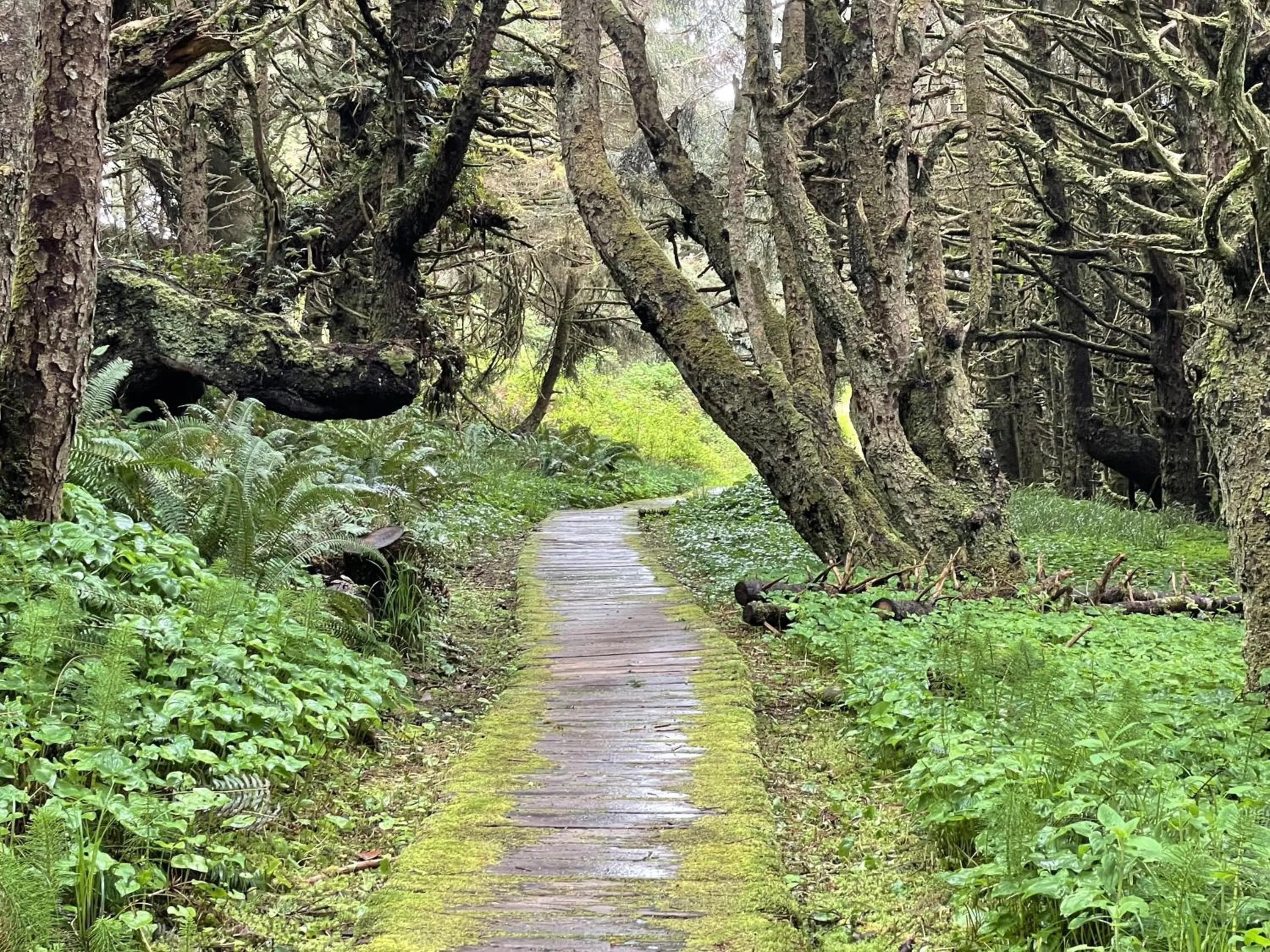 Property building in Great Cabin In Close To Walking Trails And Beaches - 13T