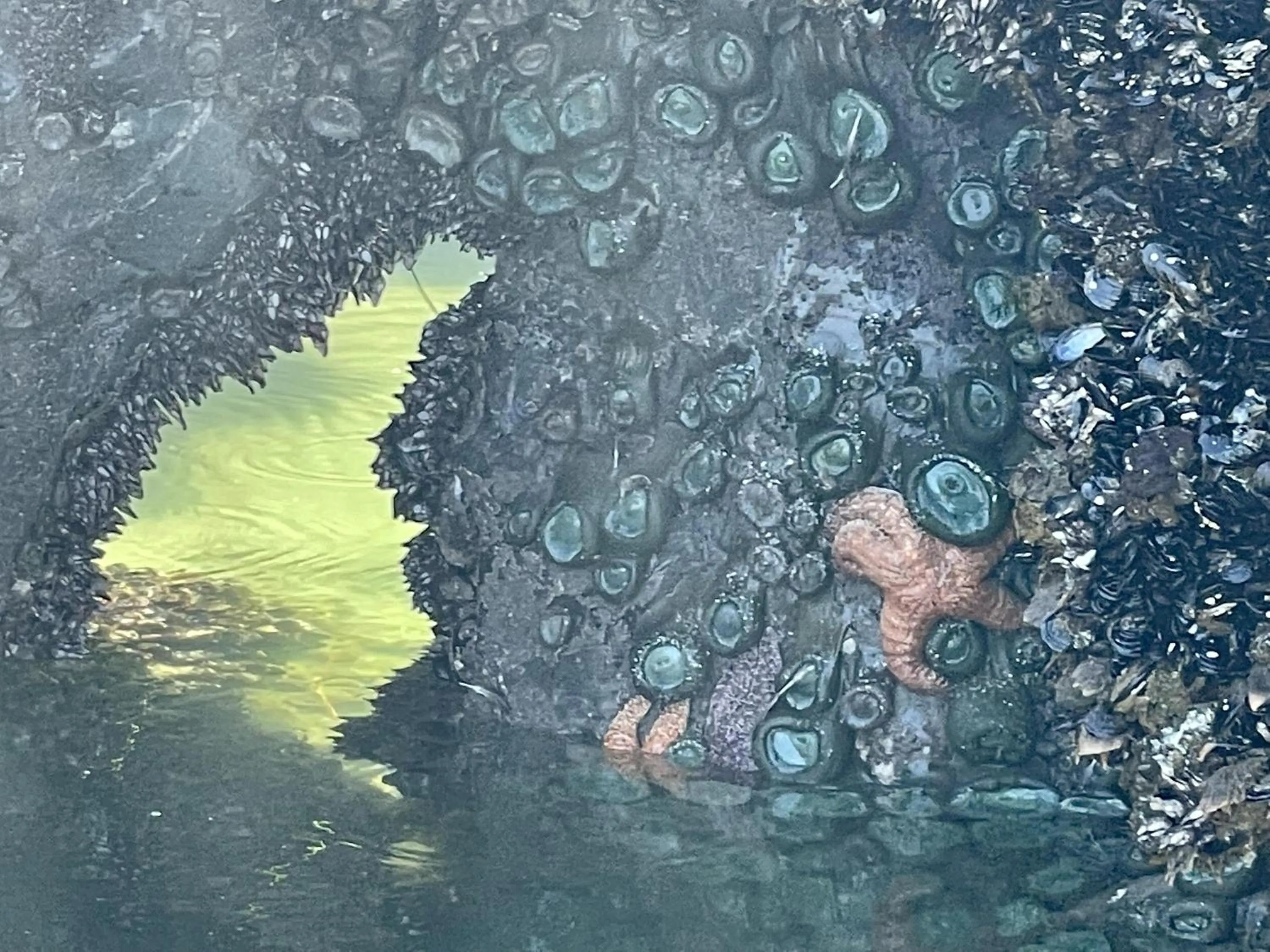 Great Cabin In Close To Walking Trails And Beaches - 13T