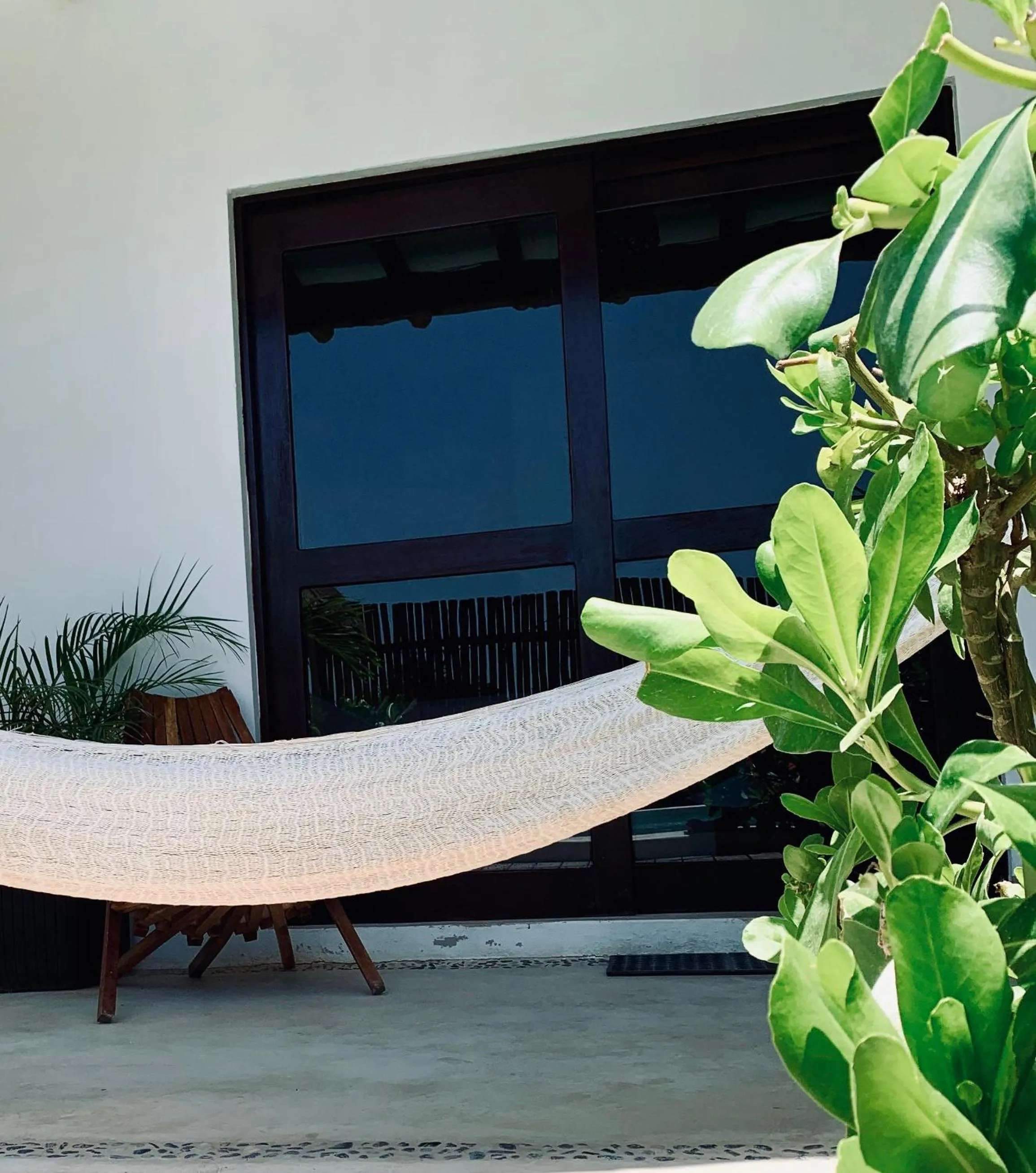 Garden view in Mis Sueños Holbox