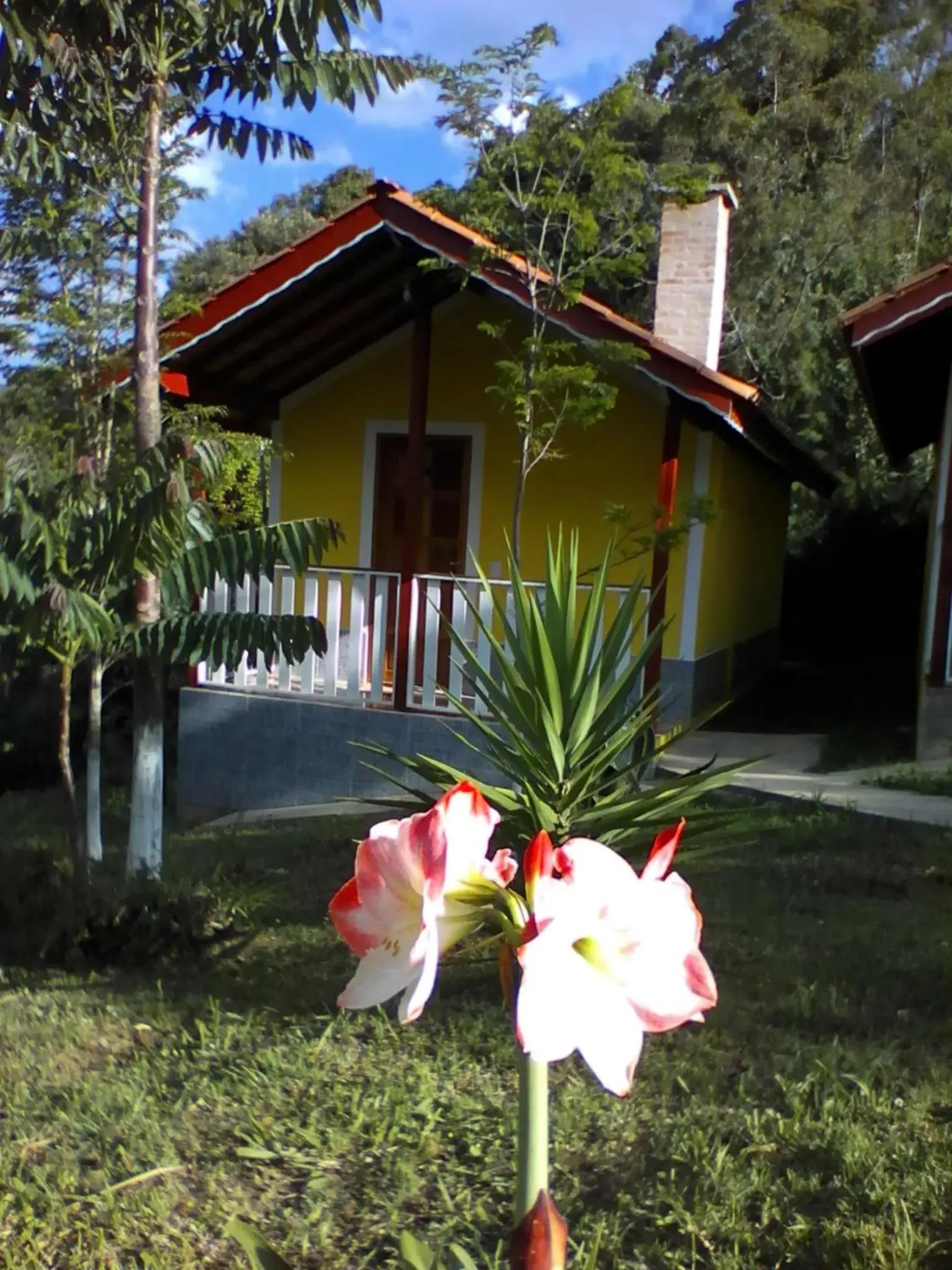 CHALES Canto dos Pássaros CHALES Canto dos Pássaros