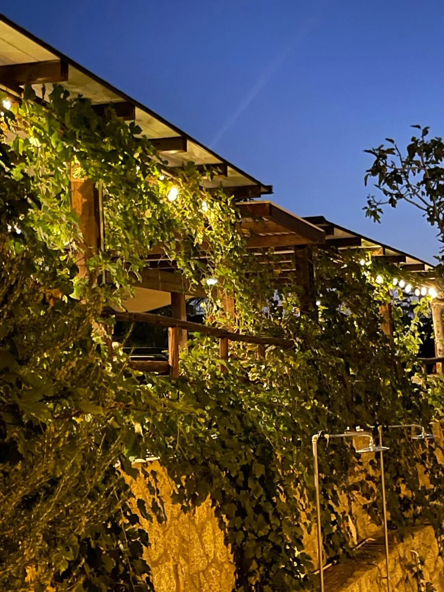 Restaurant/places to eat in Appartamenti Pousada Michelino